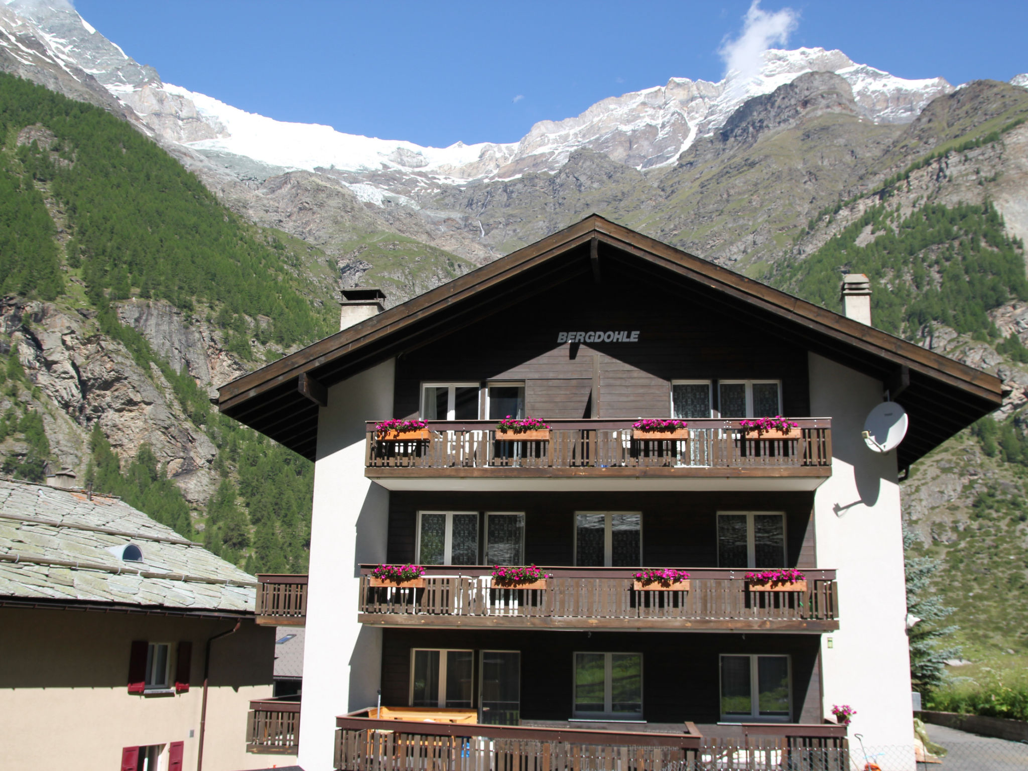 Bergdohle, (Randa),