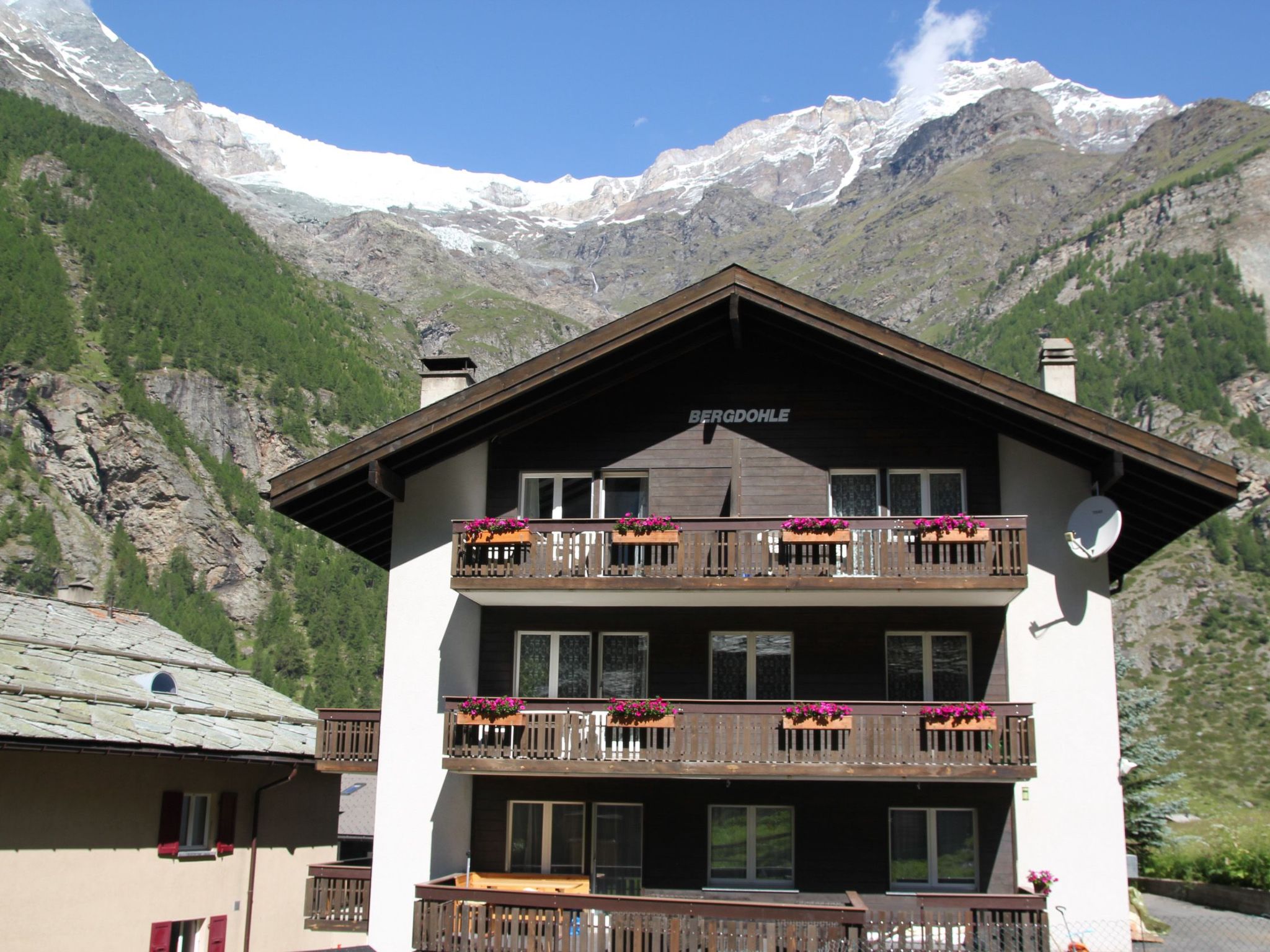 Bergdohle, (Randa),
