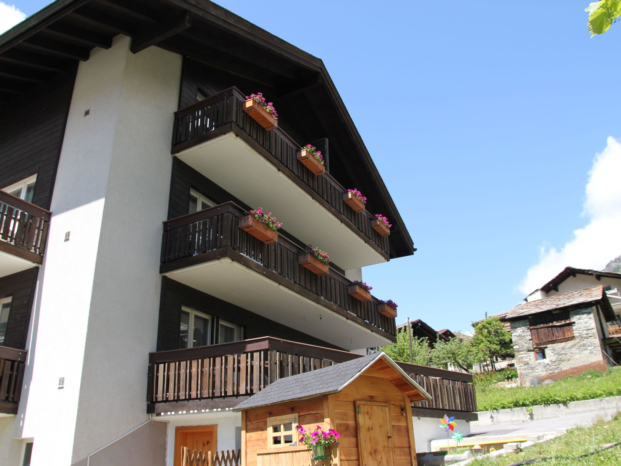 Bergdohle, (Randa),