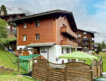 Chalet Jungtalblick Chilcheri