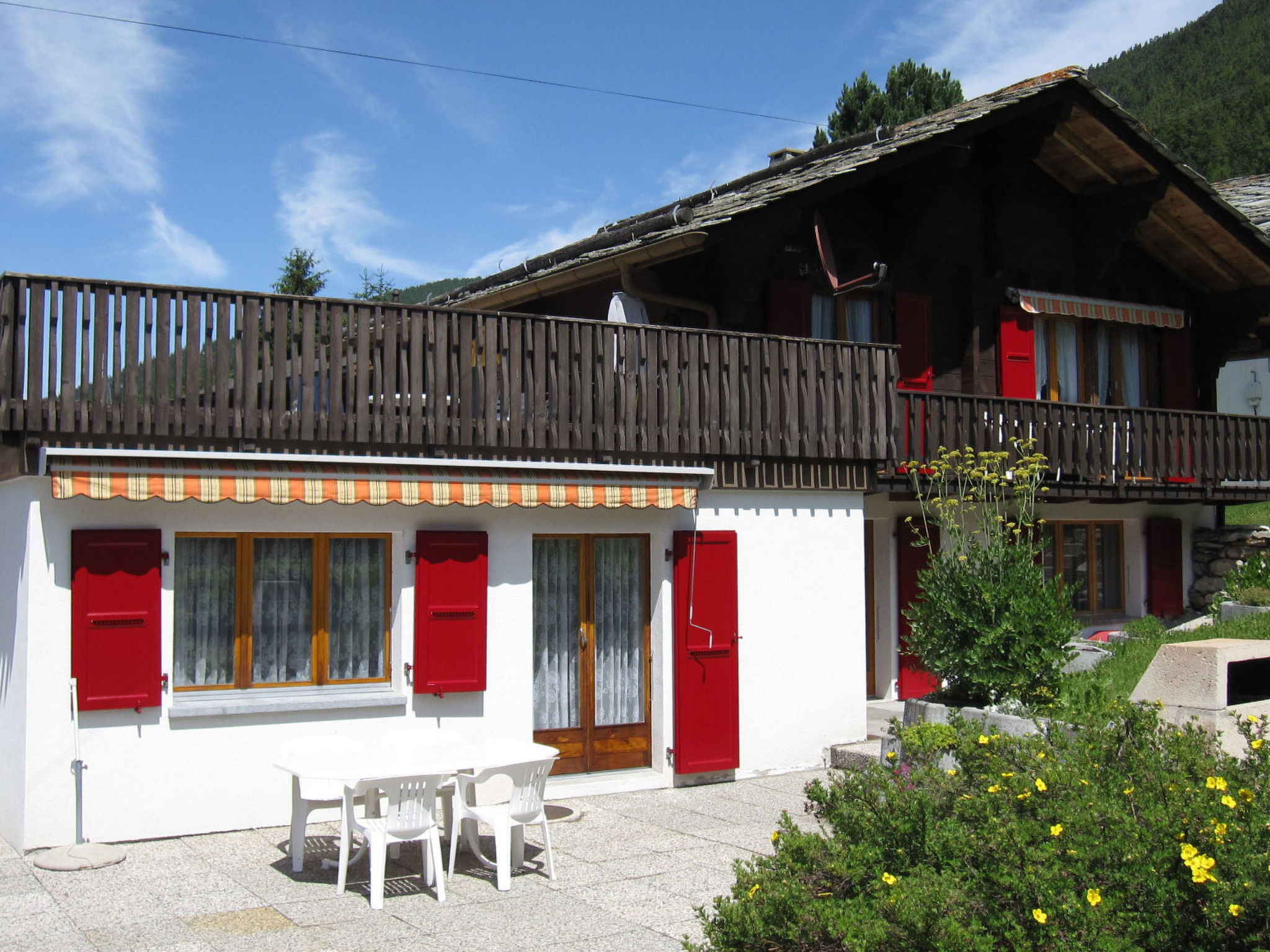 Photo of Fleurs des Alpes, (Grächen),