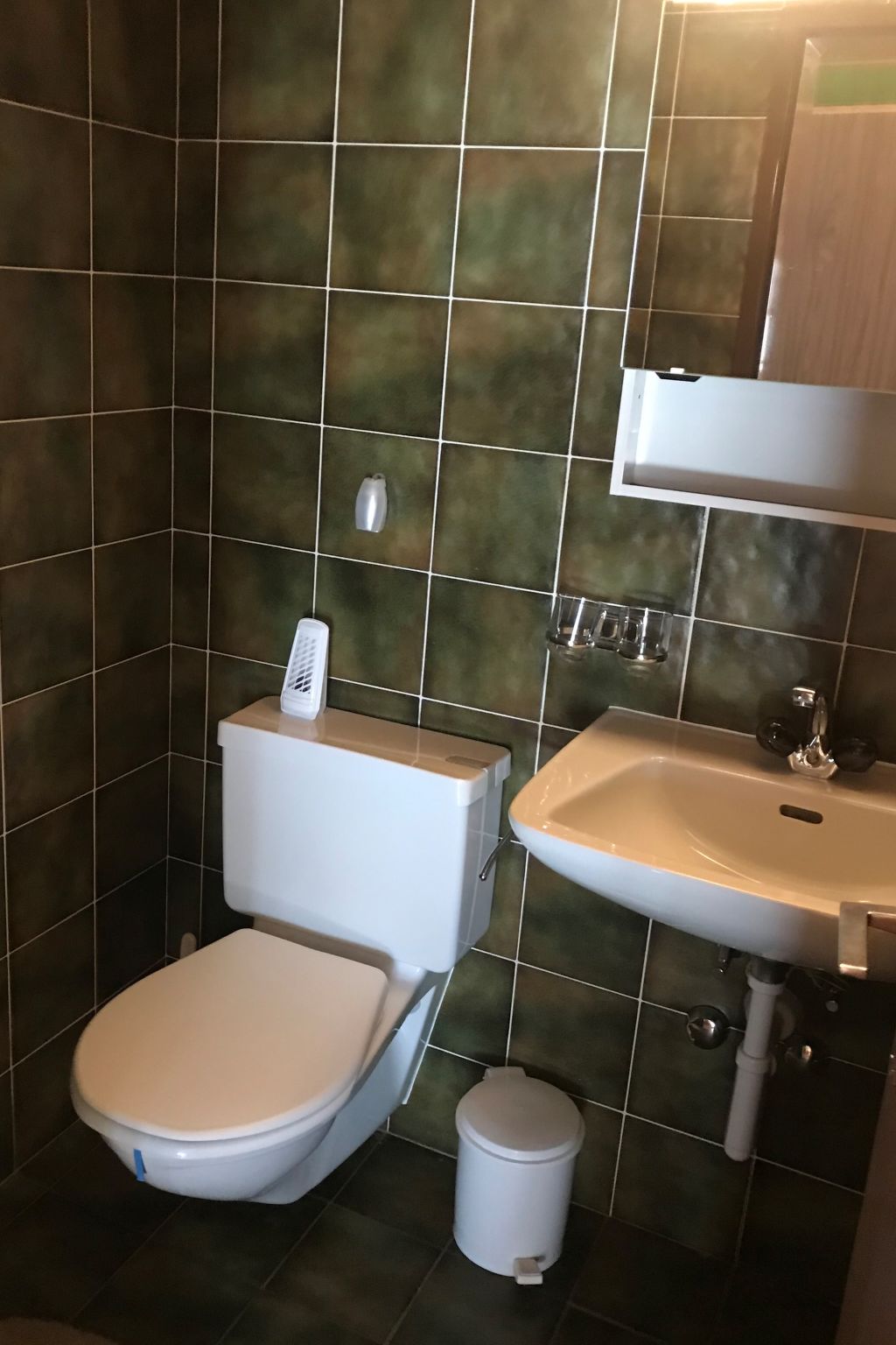 Dachwohnung Nr. 30 - Haus Opal, (Grächen), 1606 - Binnen