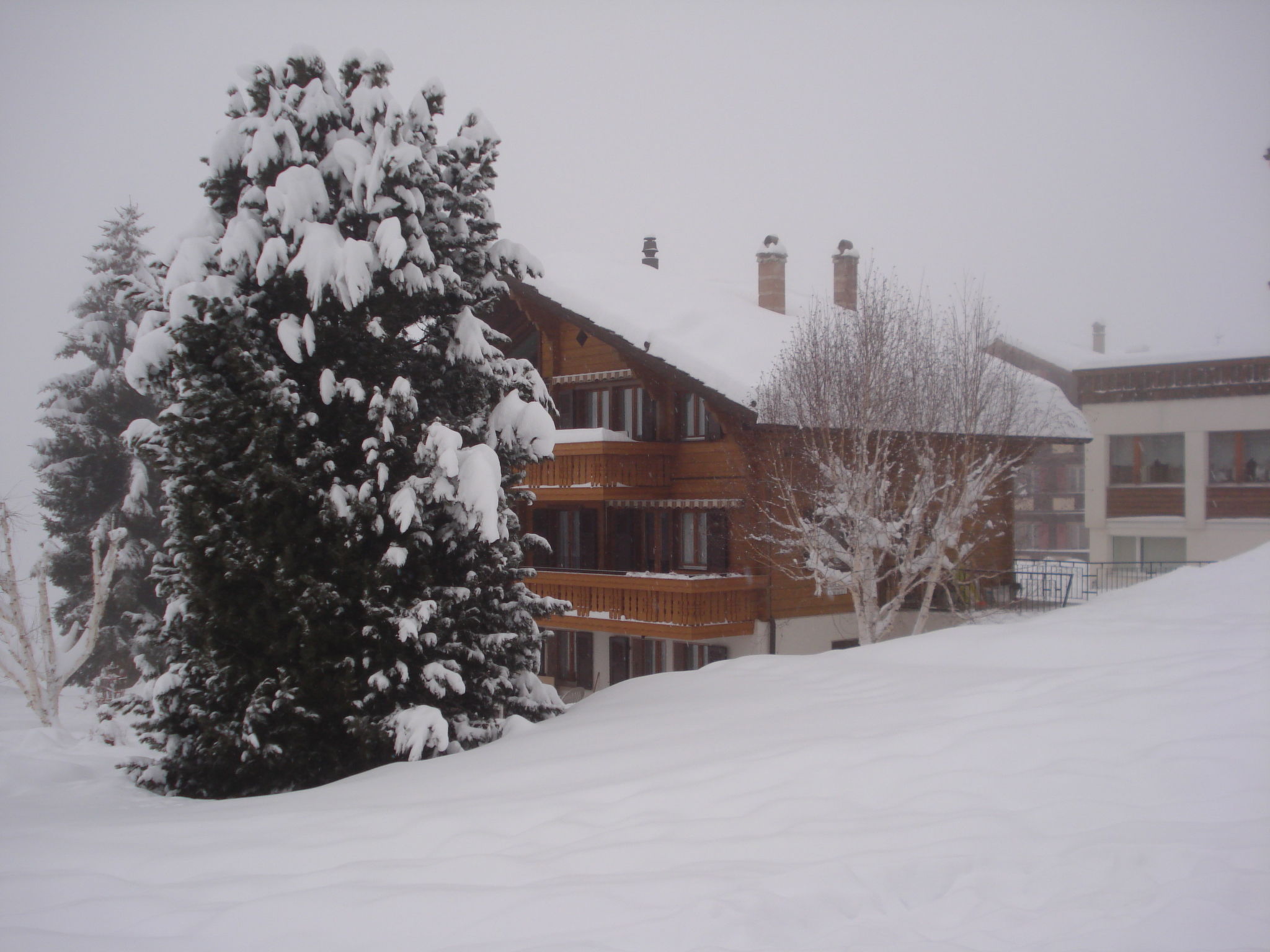 Photo of Chalet Petunia, (Grächen), 1116