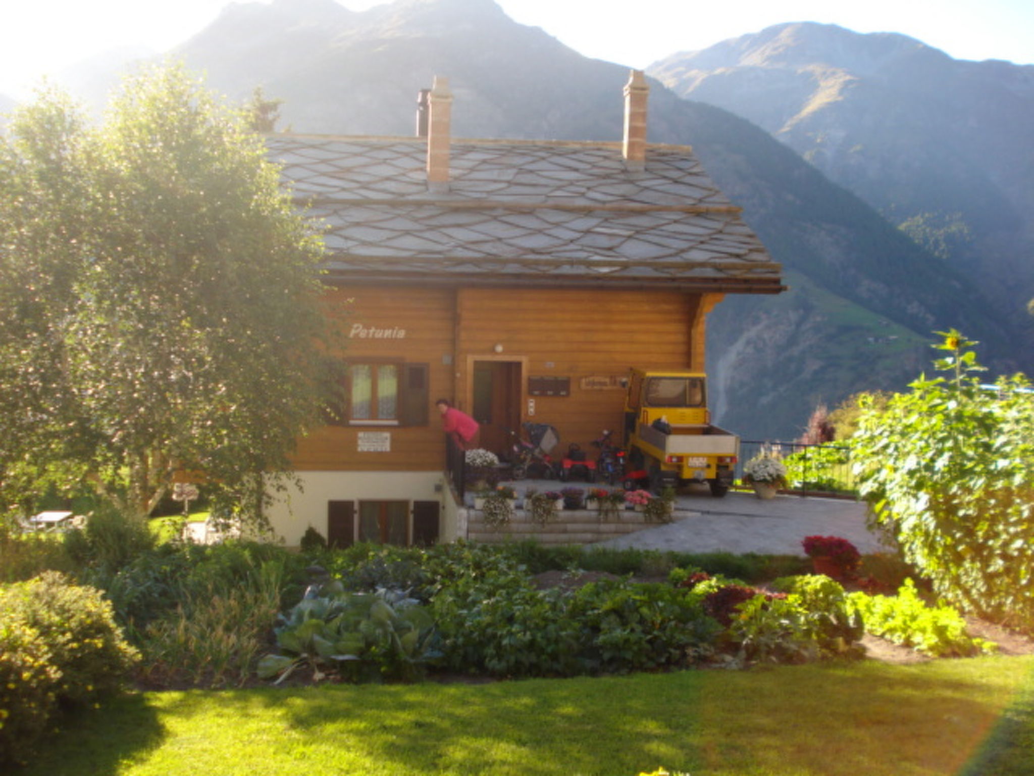 Photo of Chalet Petunia, (Grächen), 1116