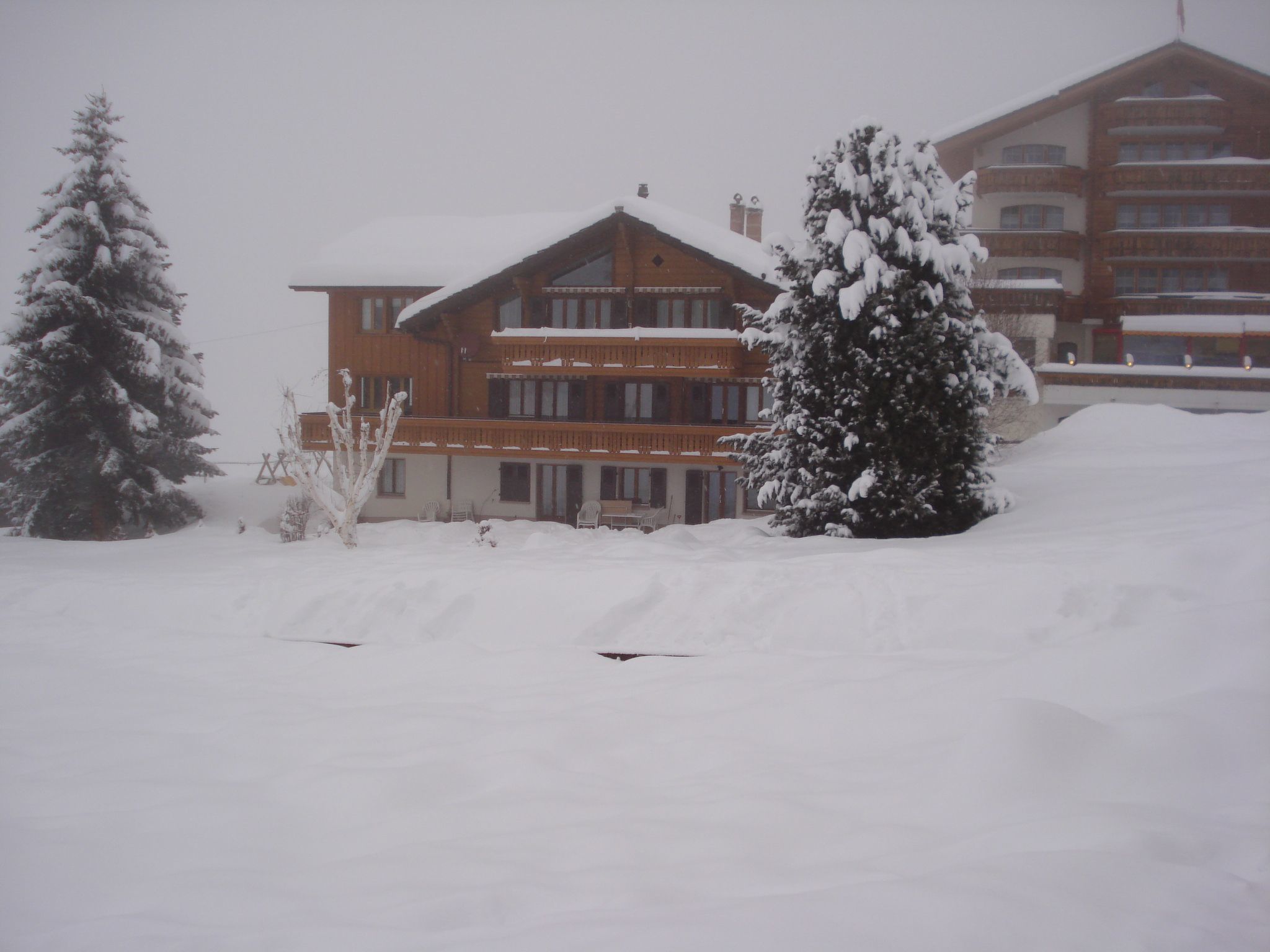 Chalet Petunia, (Grächen), 1116
