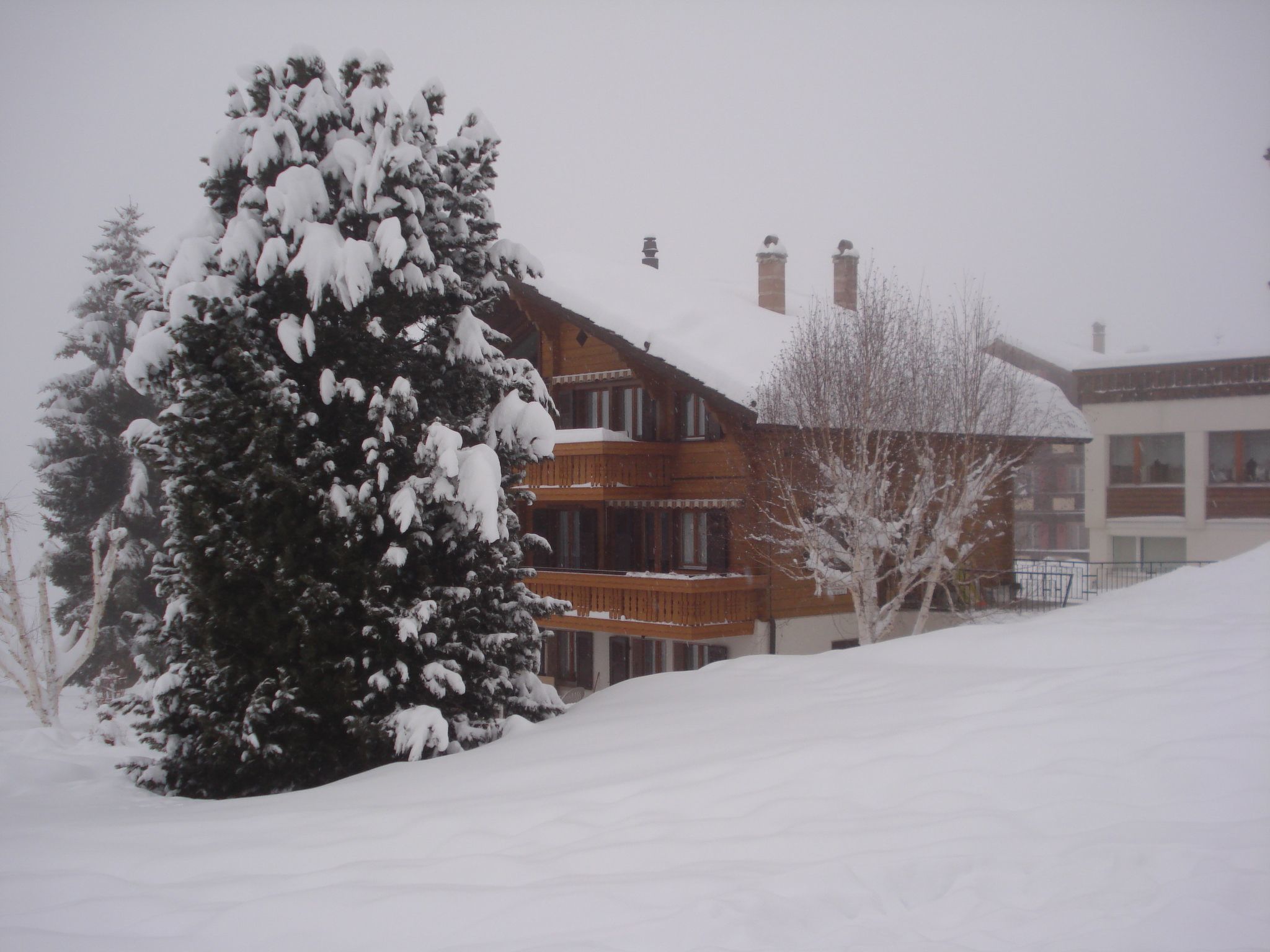 Chalet Petunia, (Grächen), 1116 - Dehors