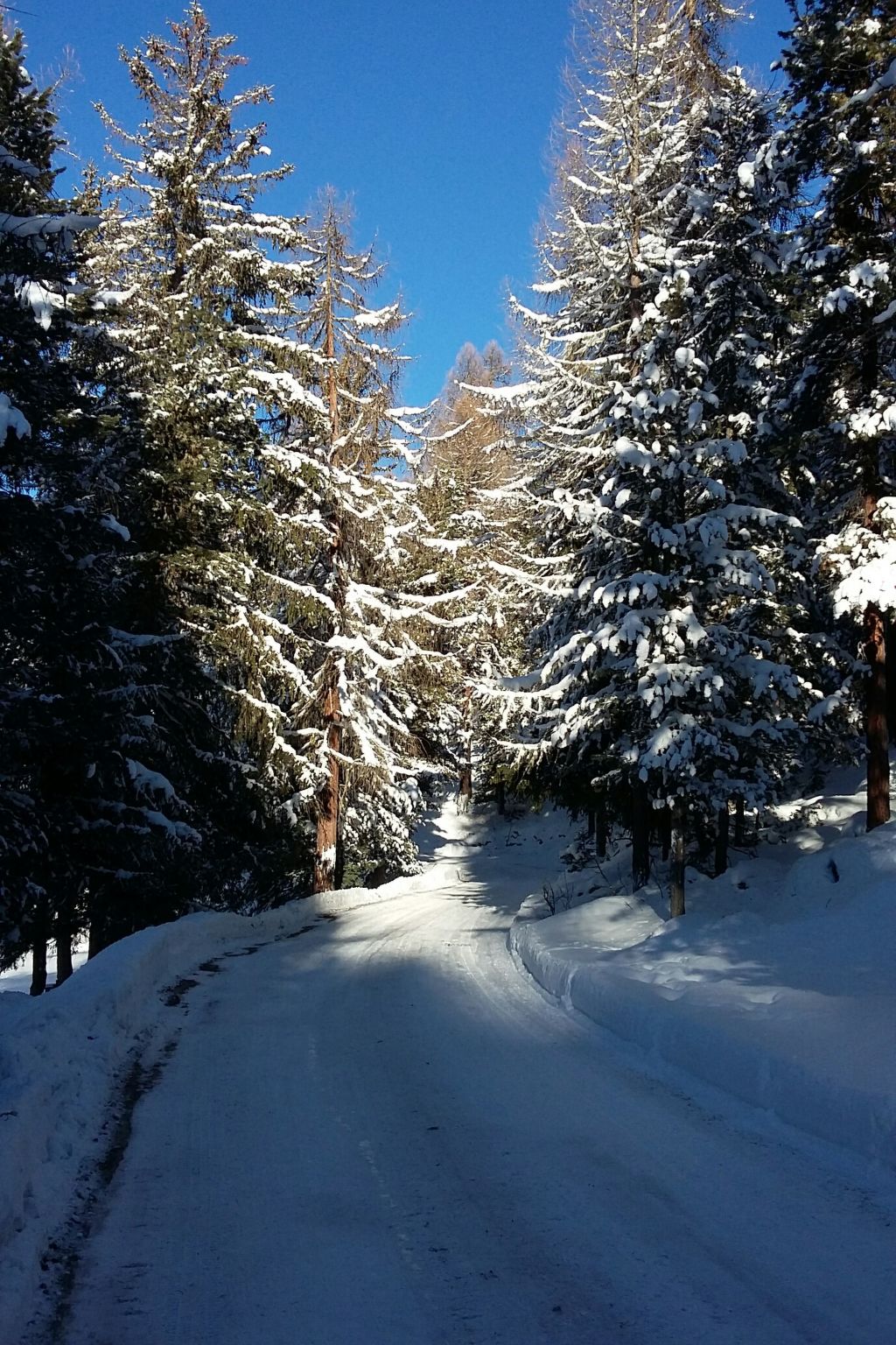Photo of Egge 27, (Grächen), 2032