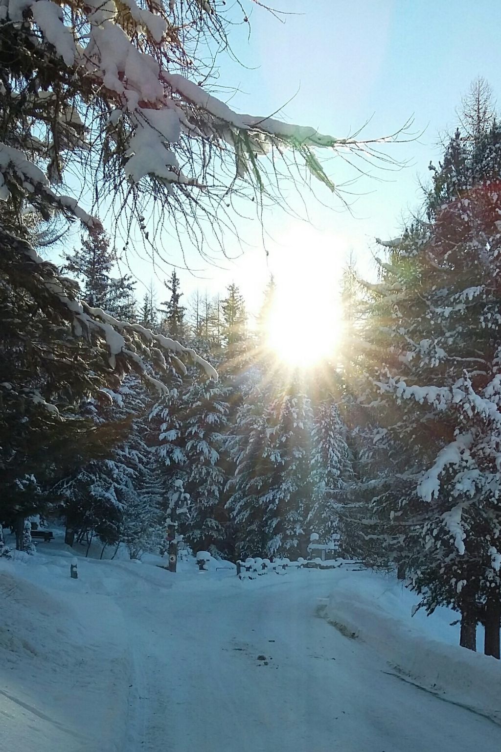 Photo of Egge 27, (Grächen), 2032
