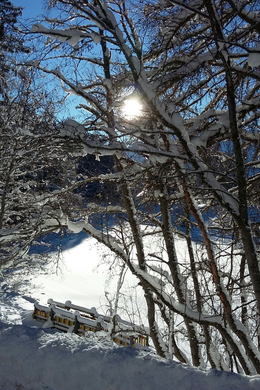 Photo of Egge 27, (Grächen), 2032