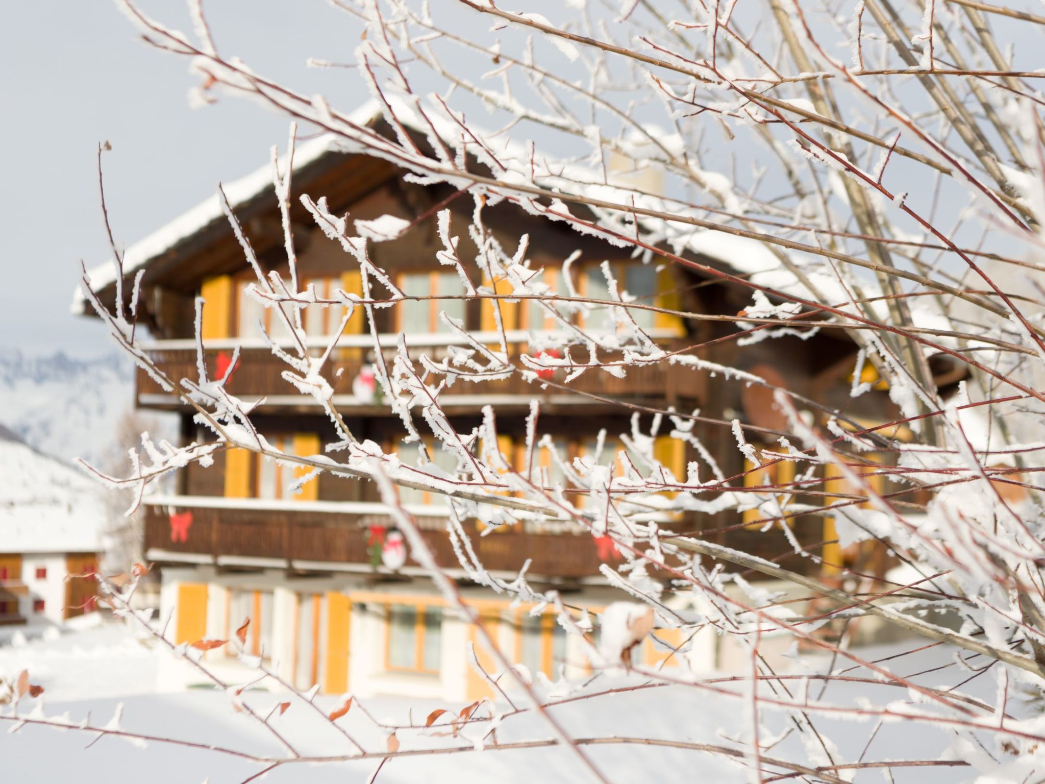 Photo of Chalet Ferienwohnungen Schwalbennest Moos Grächen, (Grächen),