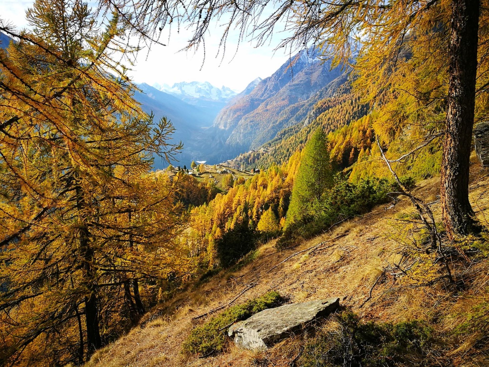 Photo of Chalet Ferienwohnungen Schwalbennest Moos Grächen, (Grächen),