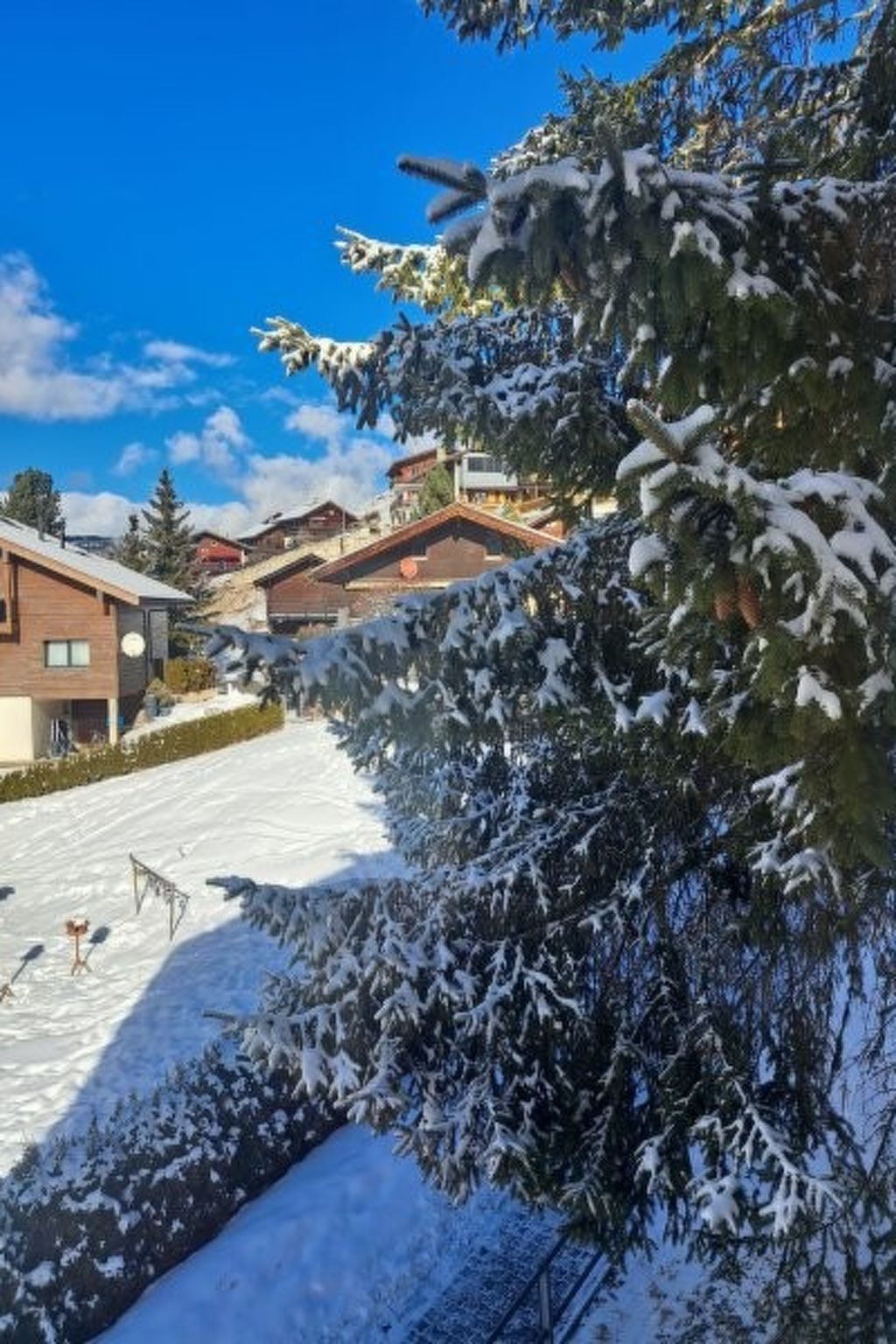 Photo of Residence Fewo SARAH, (Grächen), 2031