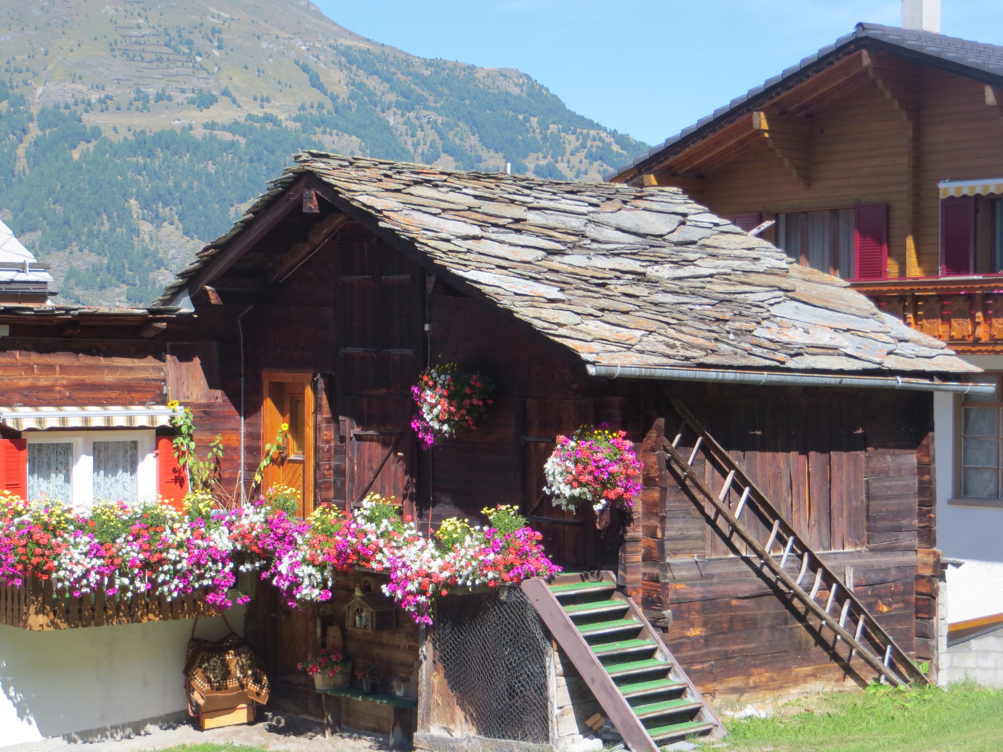 Photo of Residence Fewo SARAH, (Grächen), 2031