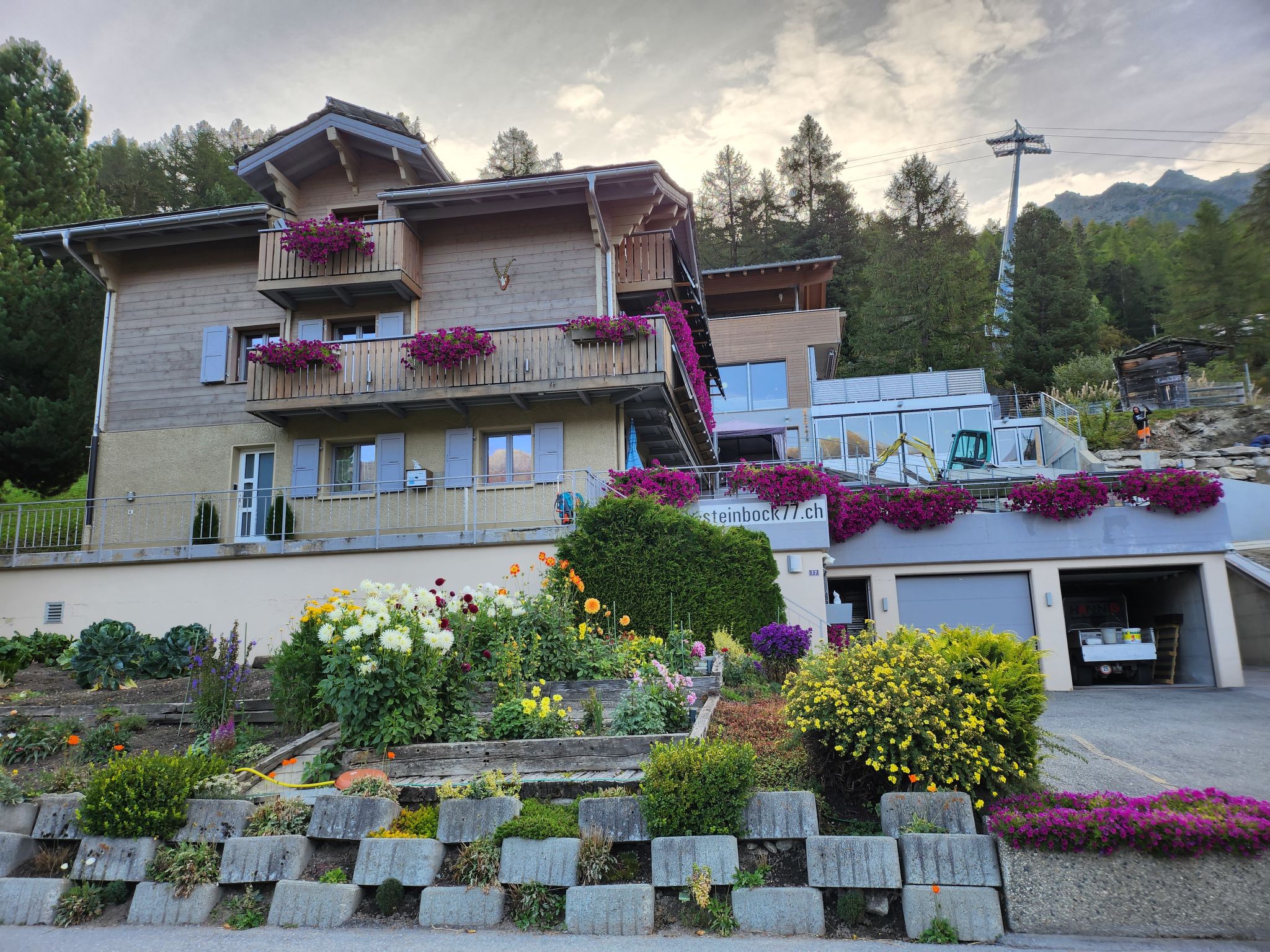 Photo of Steinbock, (Grächen), 2024