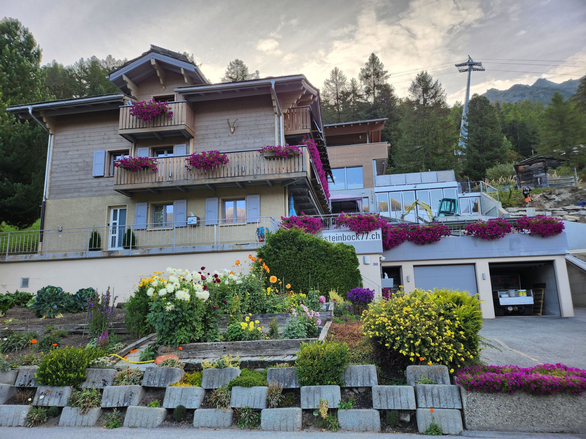Steinbock, (Grächen), 2024 - Outside
