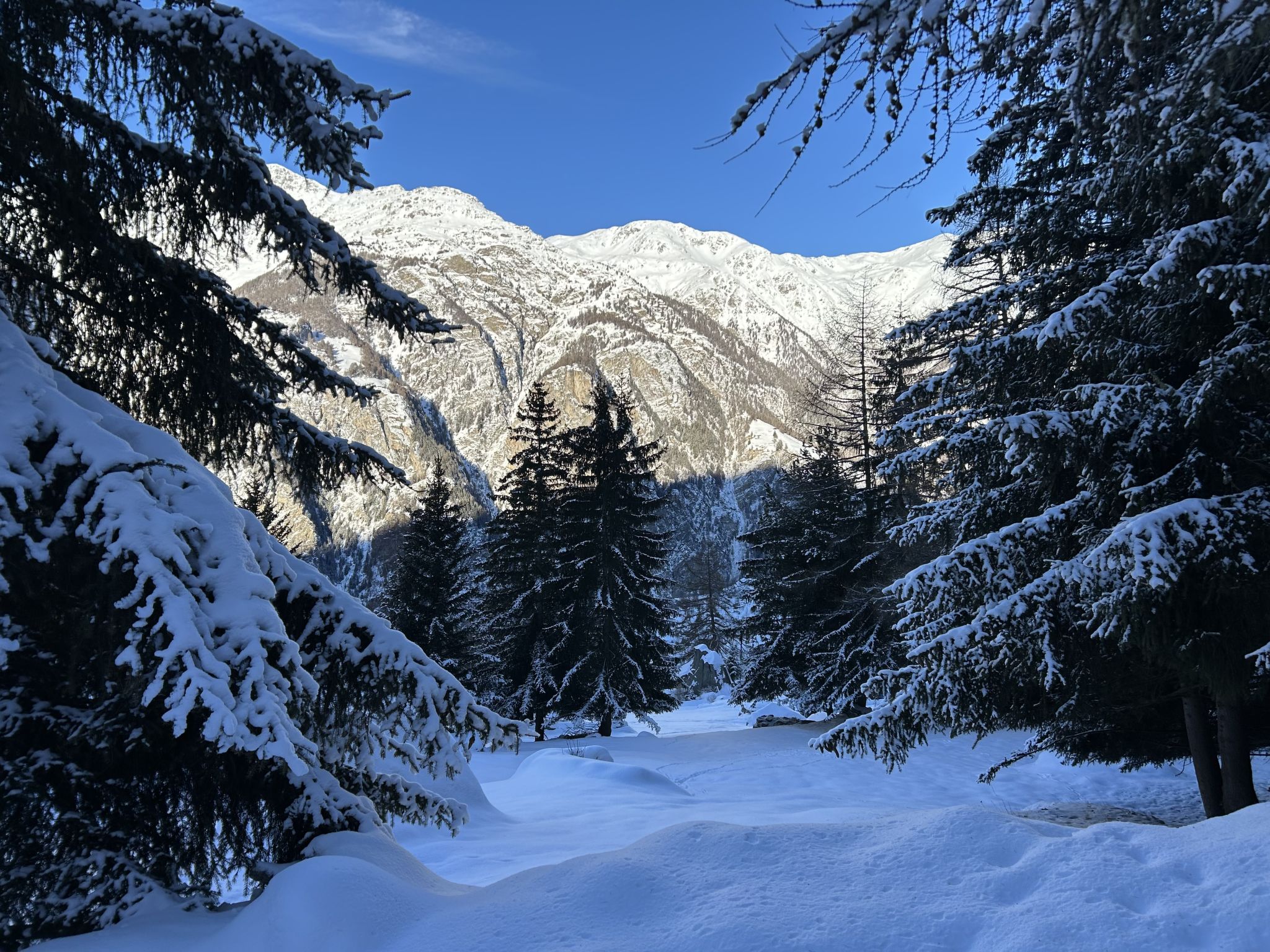 Photo of LODGE MONTE ROSA, (Grächen),