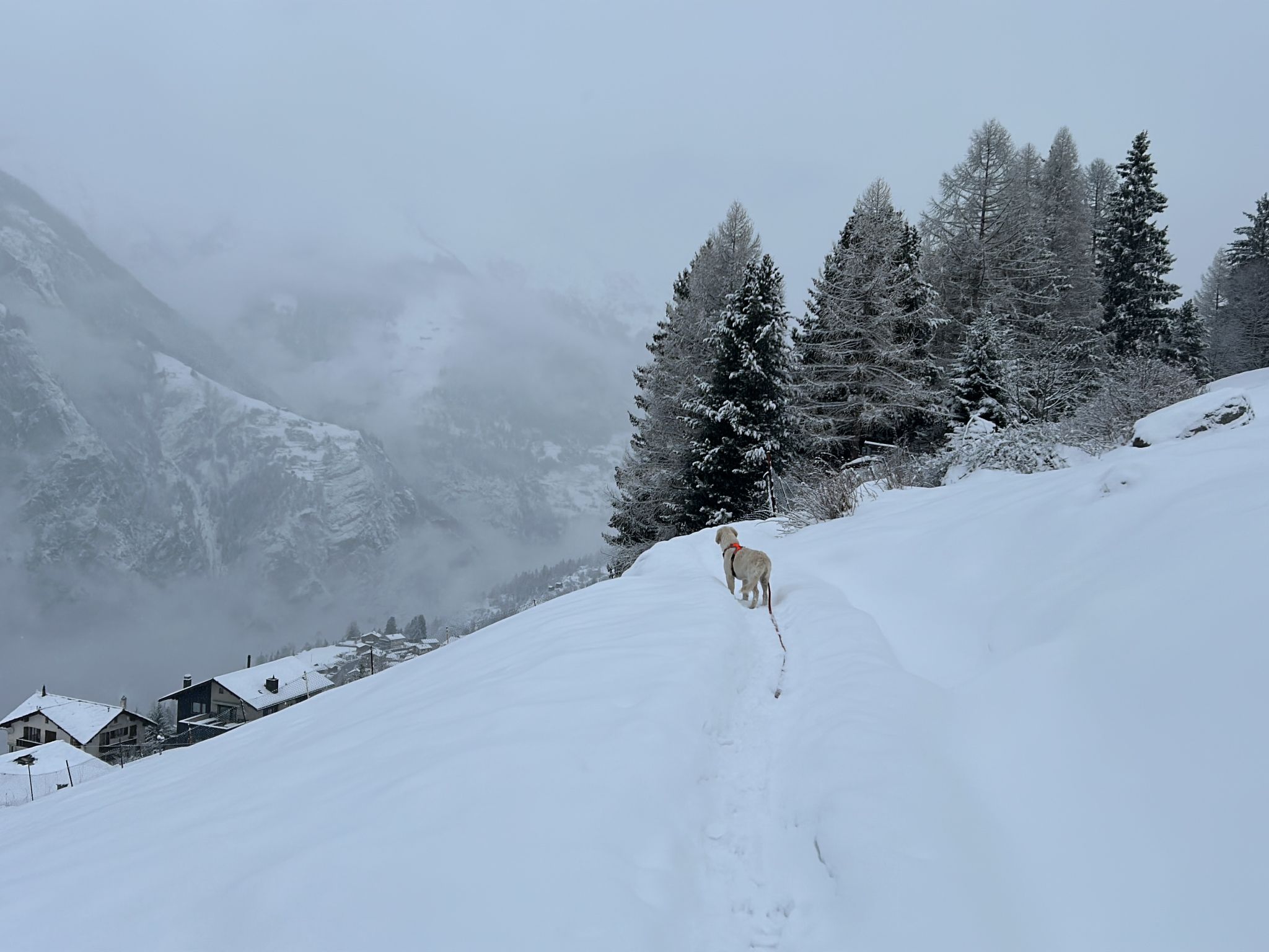 Photo of LODGE MONTE ROSA, (Grächen),