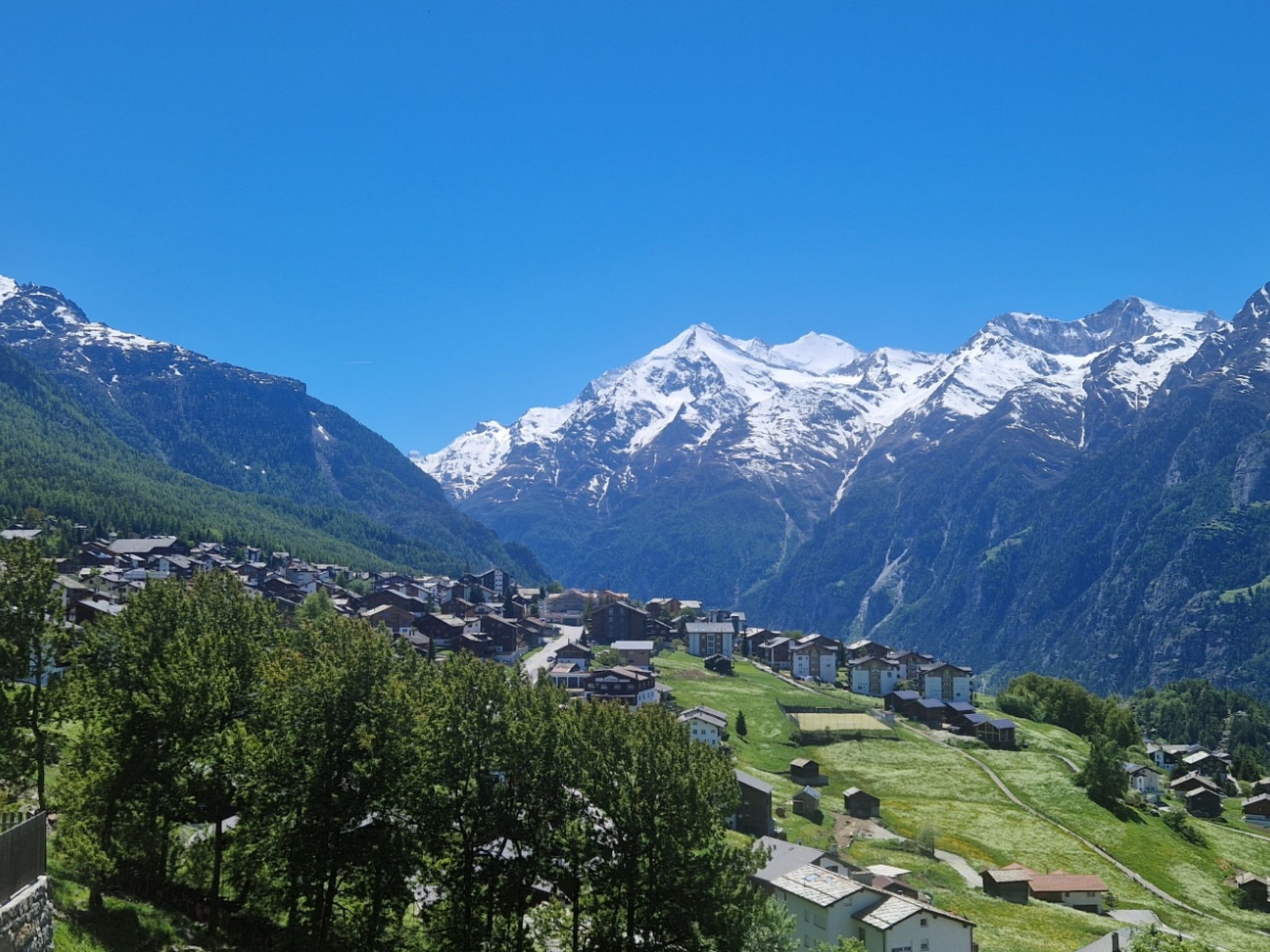 Photo of Birke, (Grächen),