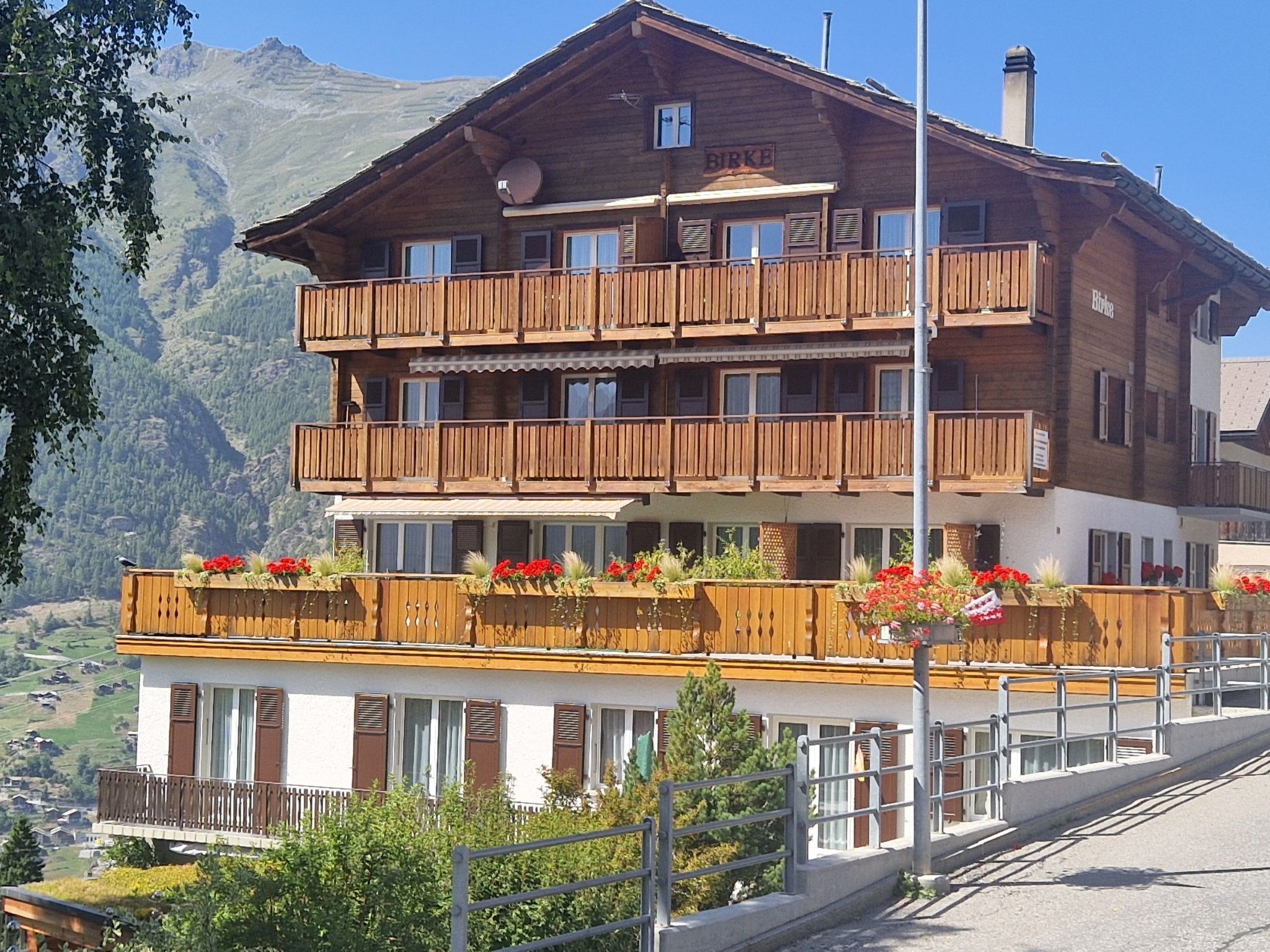 Birke, (Grächen),