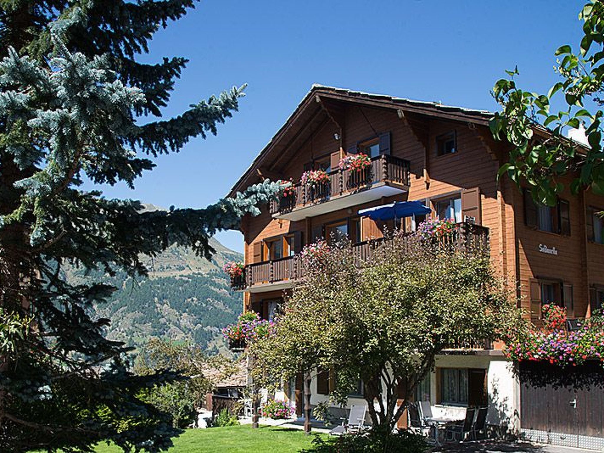 Ferienwohnungen Soldanella, (Grächen),