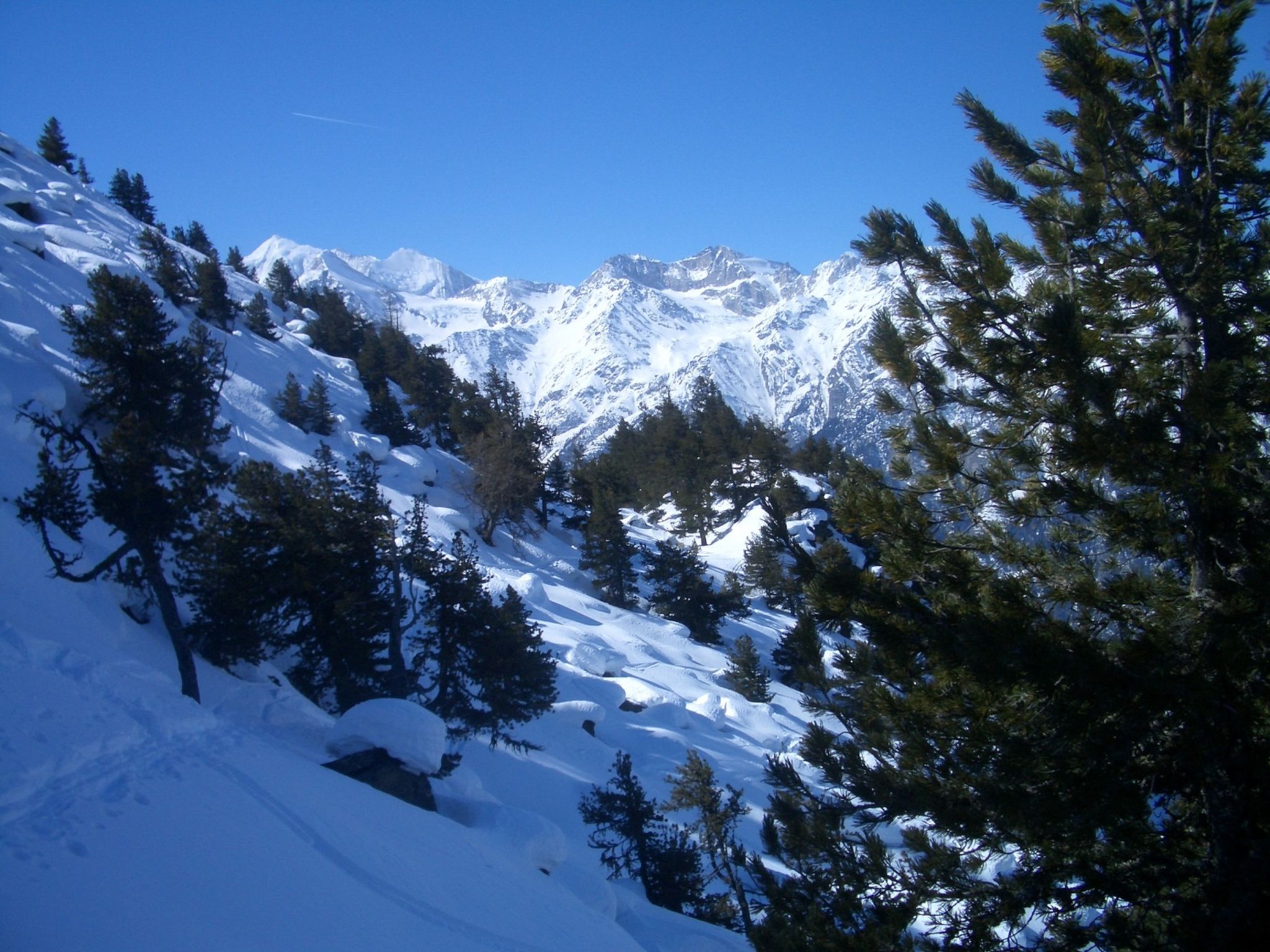 Photo of Chalet Ferienwohnungen Schwalbennest Moos Grächen, (Grächen),