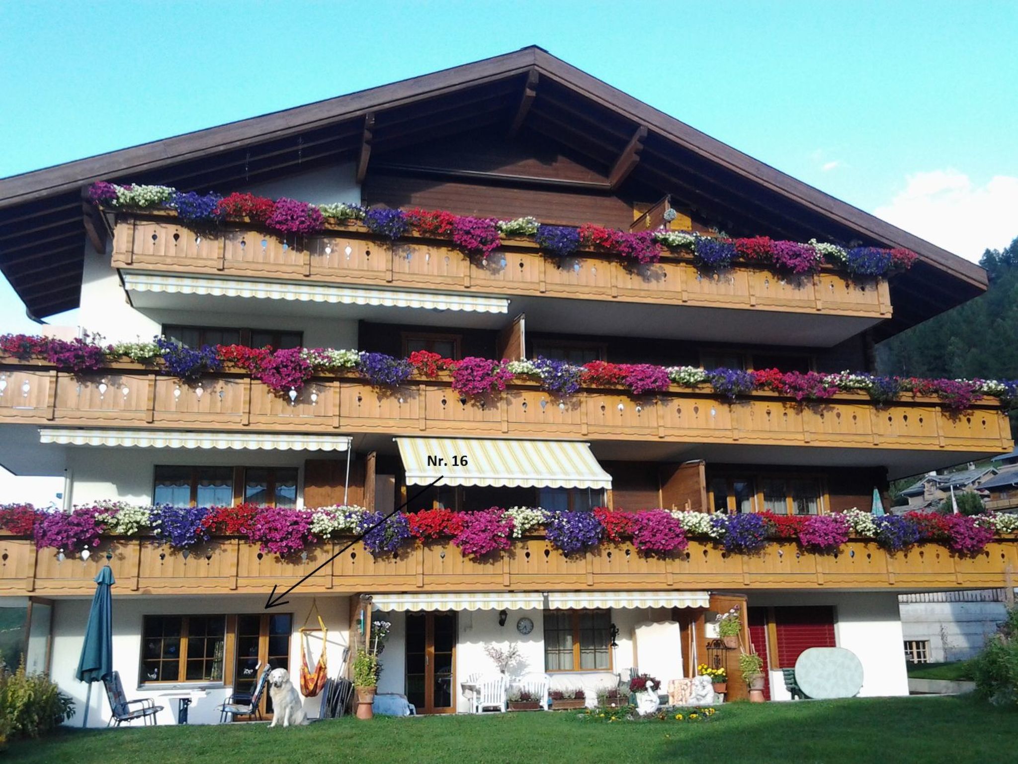 Sierra Vista 16, (Grächen), 5003