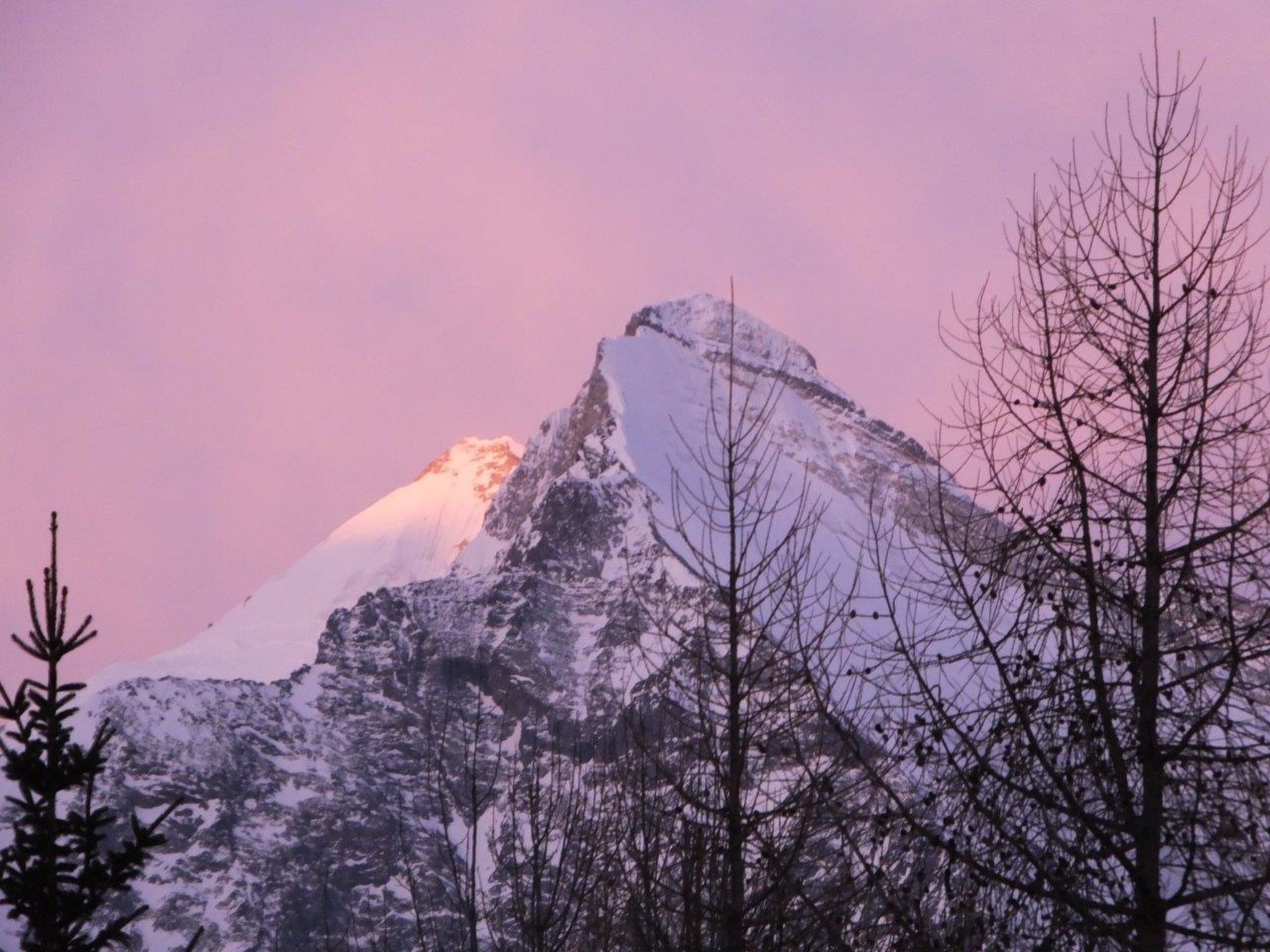 Photo of Finkennest, (Grächen),