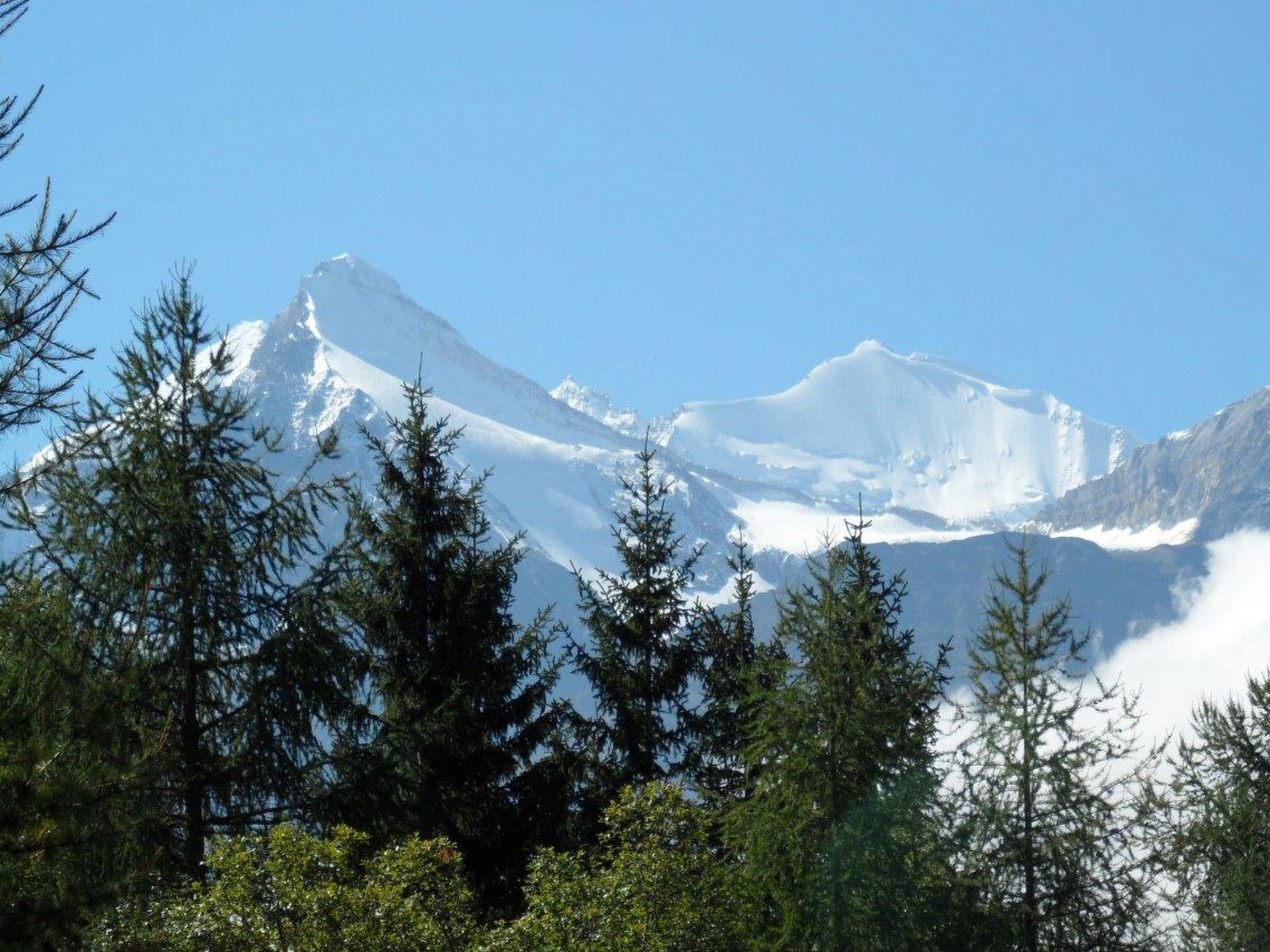 Photo of Finkennest, (Grächen),