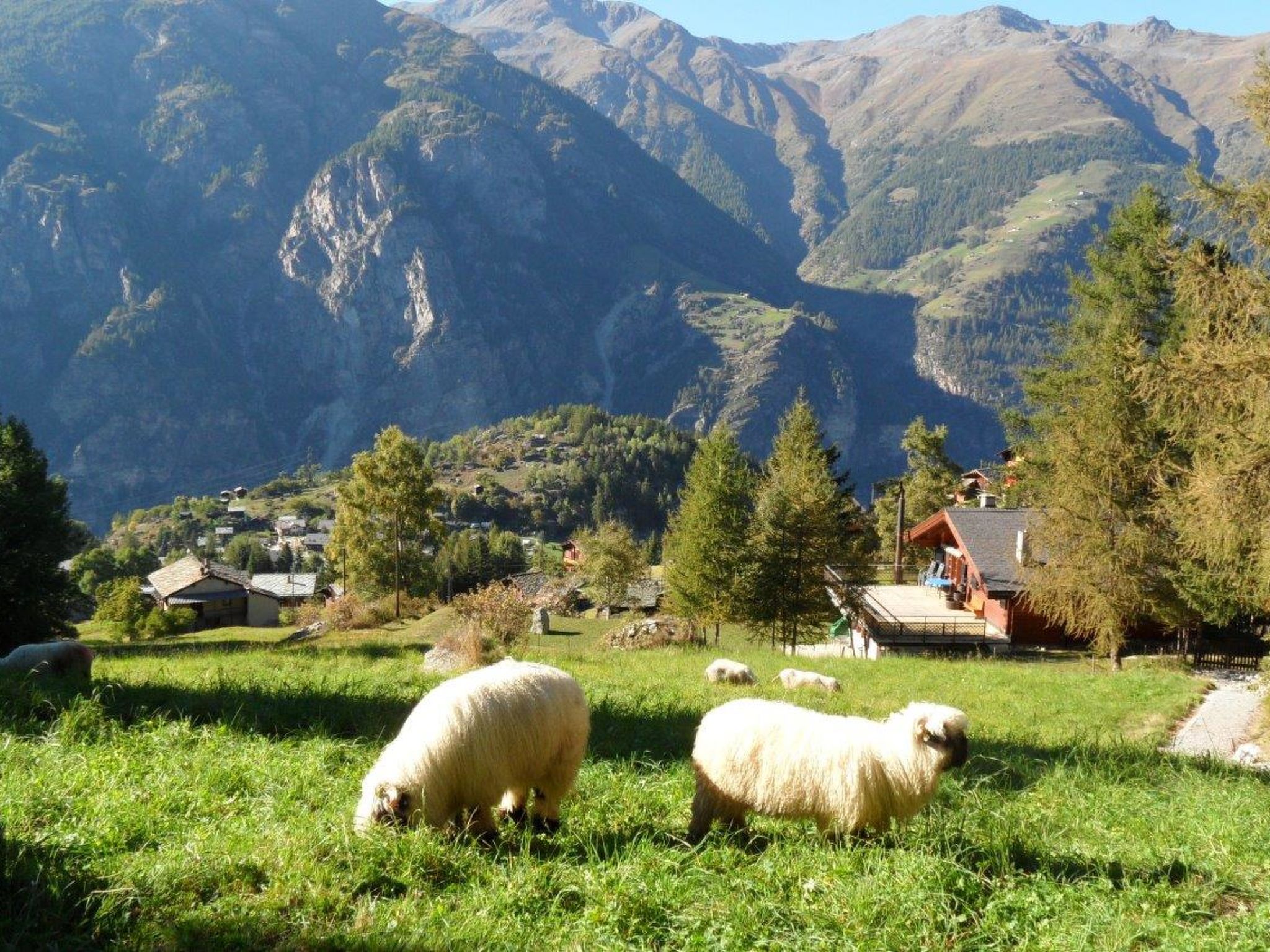Photo of Finkennest, (Grächen),