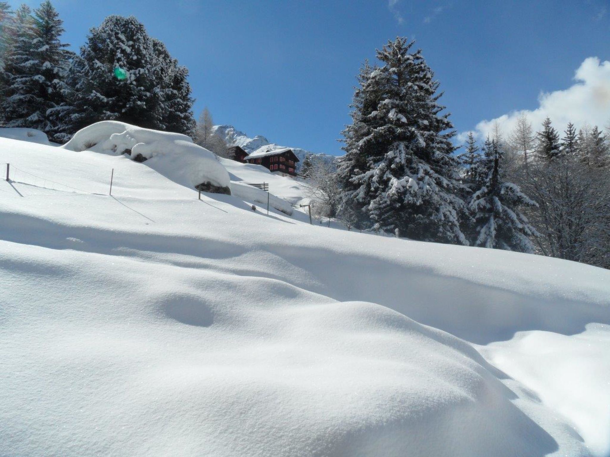 Photo of Finkennest, (Grächen),
