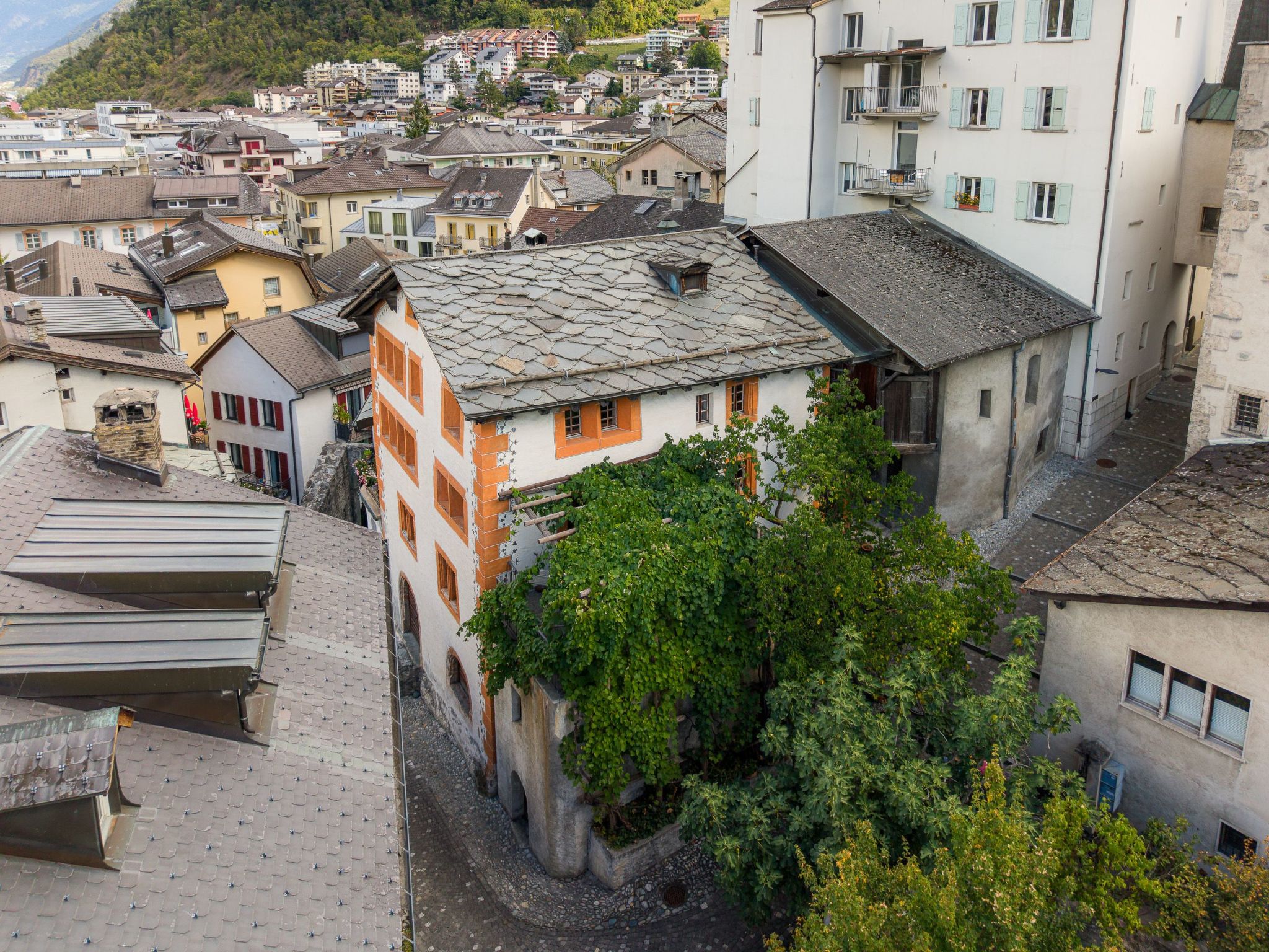 Cricerhaus in Visp-Binnen