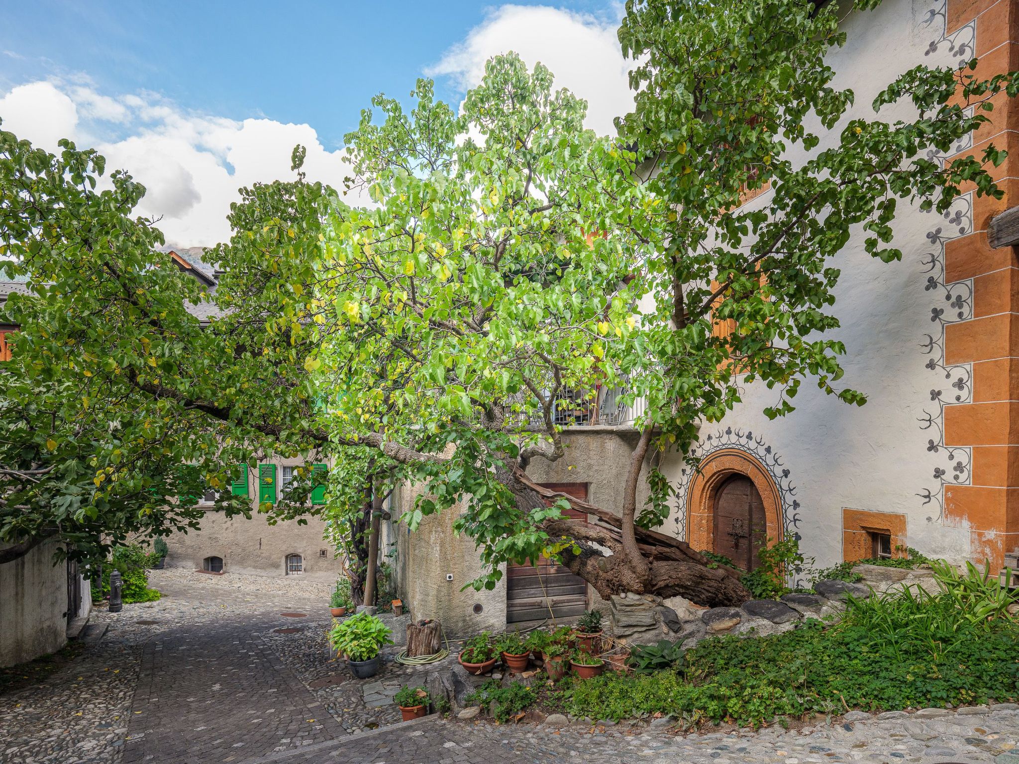 Cricerhaus in Visp-Binnen