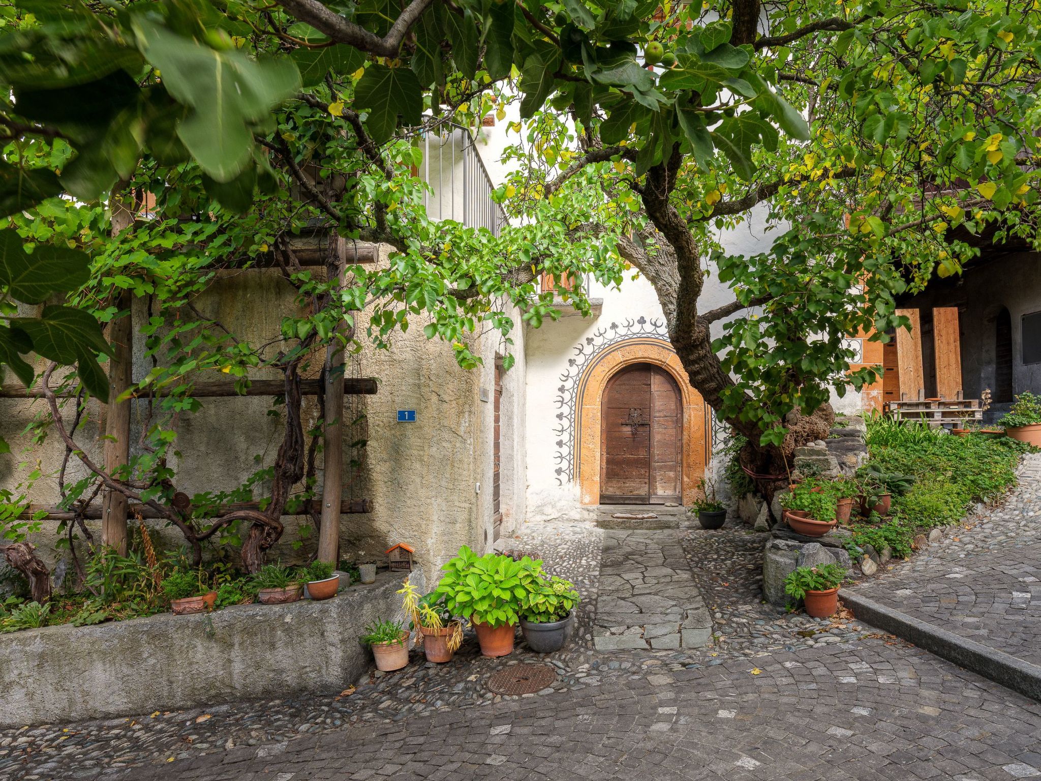 Cricerhaus in Visp-Binnen