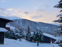 Appartement Chalet Papillon