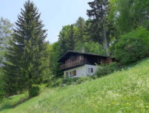 Aan de piste: Rustiek vakantiehuis Chalet Ninette in Eischoll - thumbnail 1