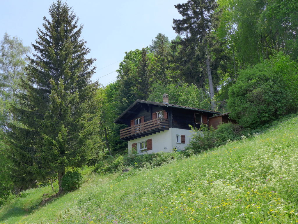 Ferienhaus Chalet Ninette Ferienhaus in der Schweiz