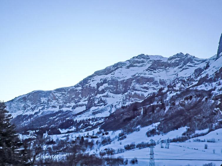 Edelweiss D Apartment in Leukerbad