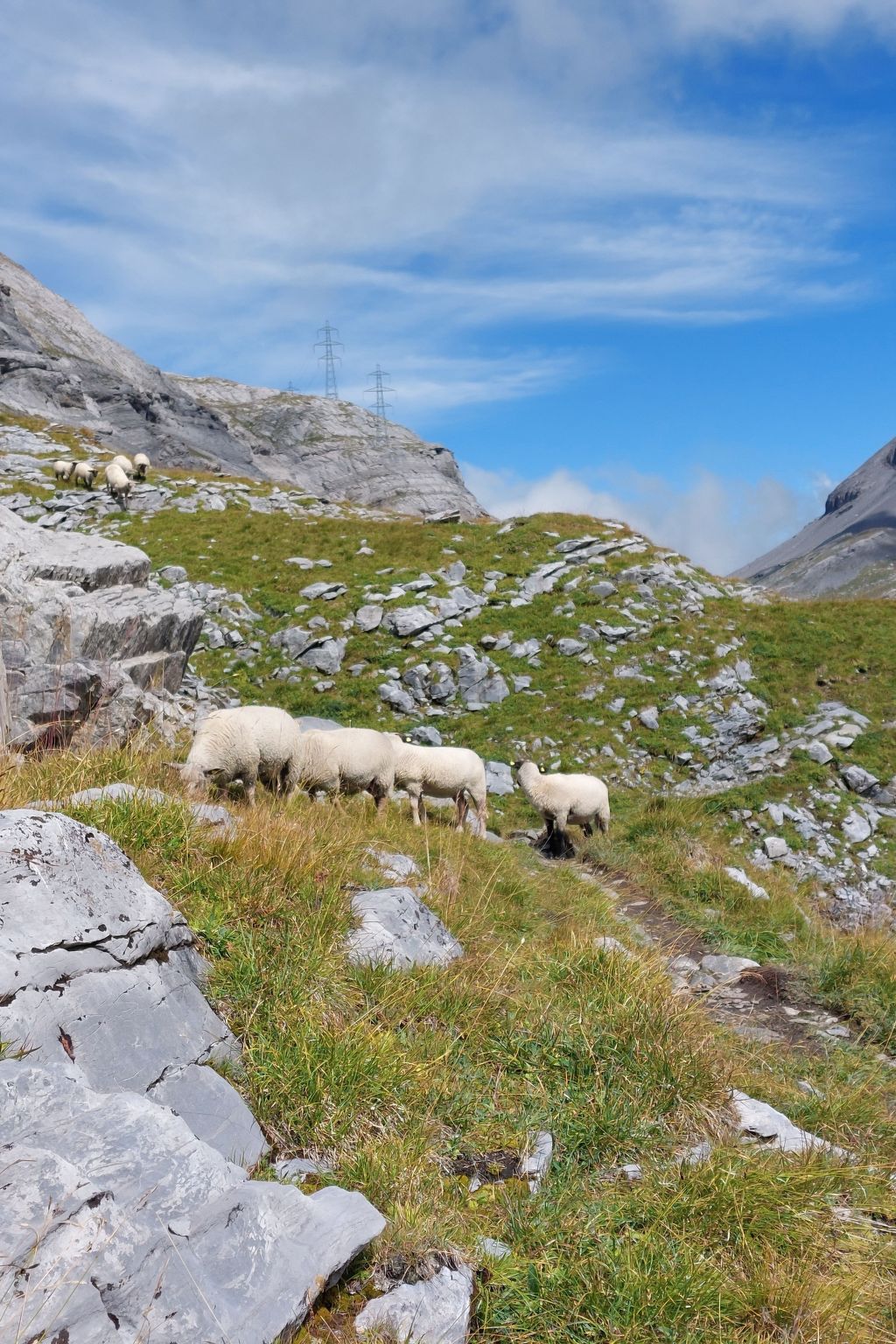 Photo of Renoviertes Studio mit mäjestätischer Aussicht