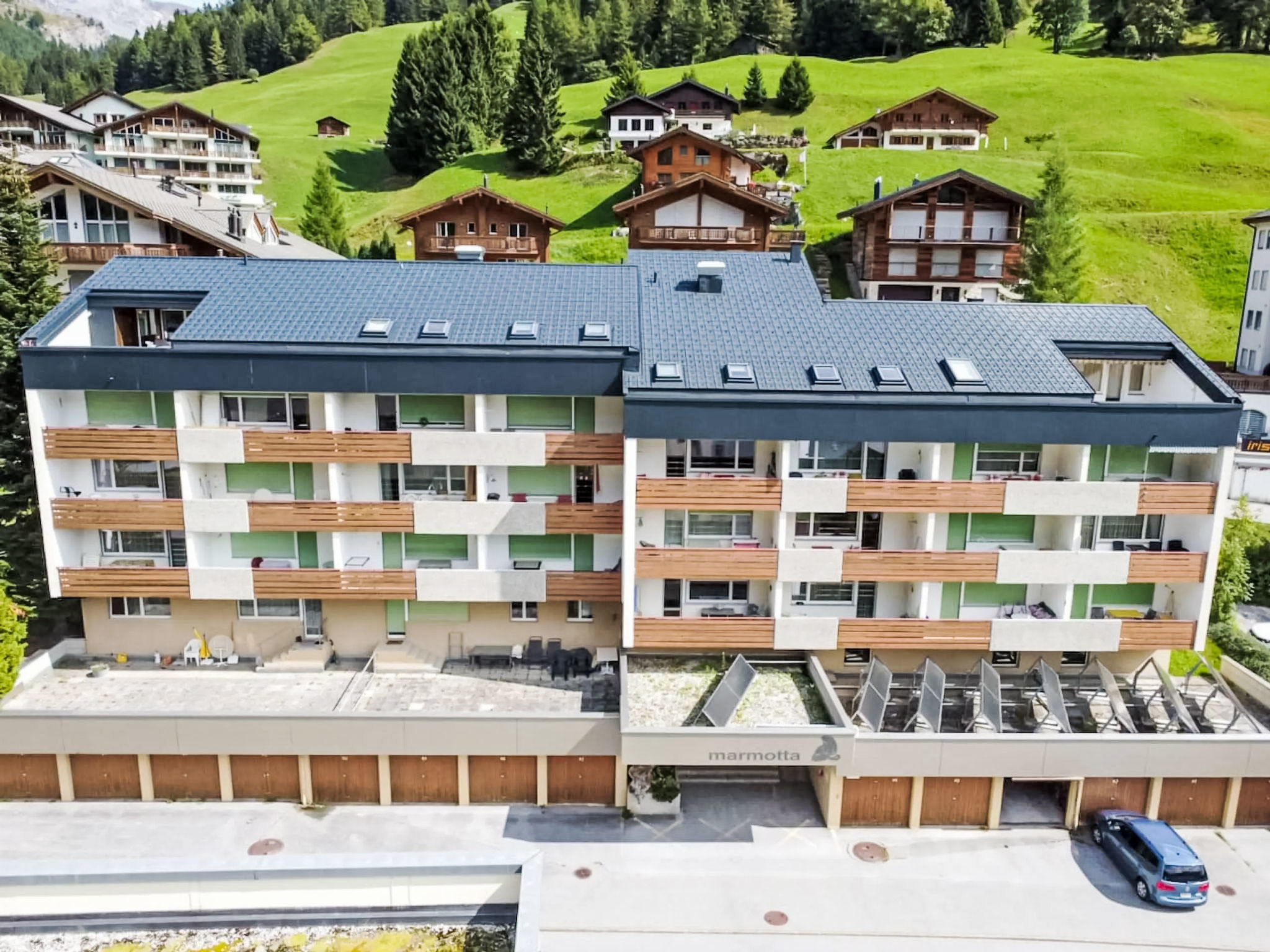 Photo of Marmotta 19