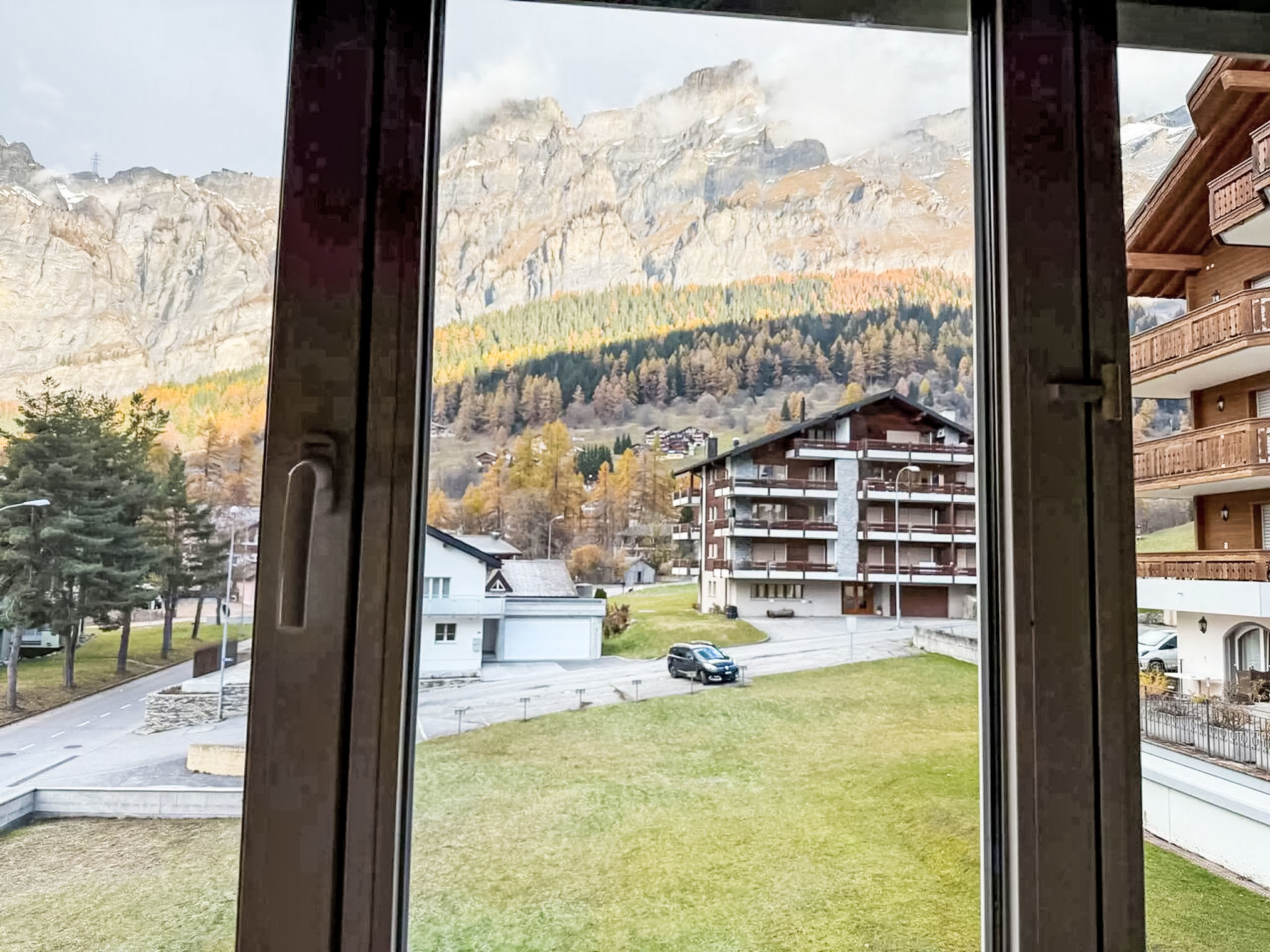 Photo of Marmotta 19