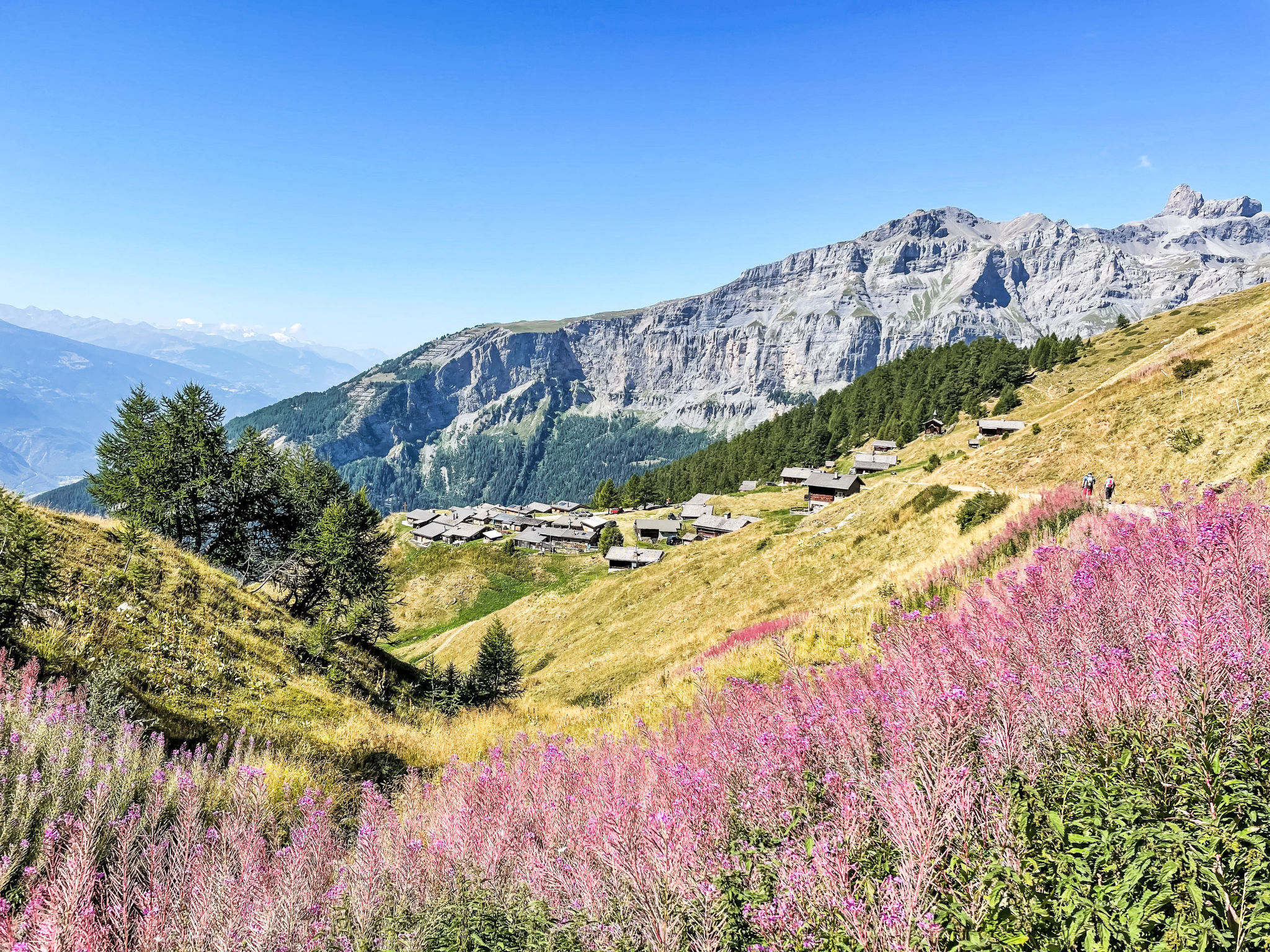 Photo of Gemmiblick