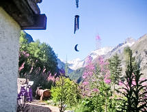 Ferienhaus Epilobes