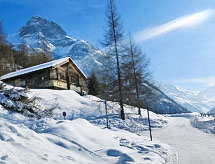 Ferienhaus Epilobes