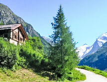 Ferienhaus Epilobes