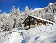 Ferienhaus Epilobes