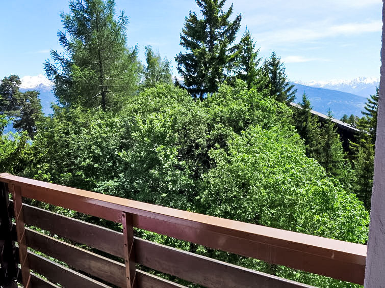 Violettes-Vacances A/B/C - Slide 11