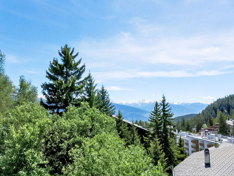 Violettes-Vacances A/B/C - Slide 12