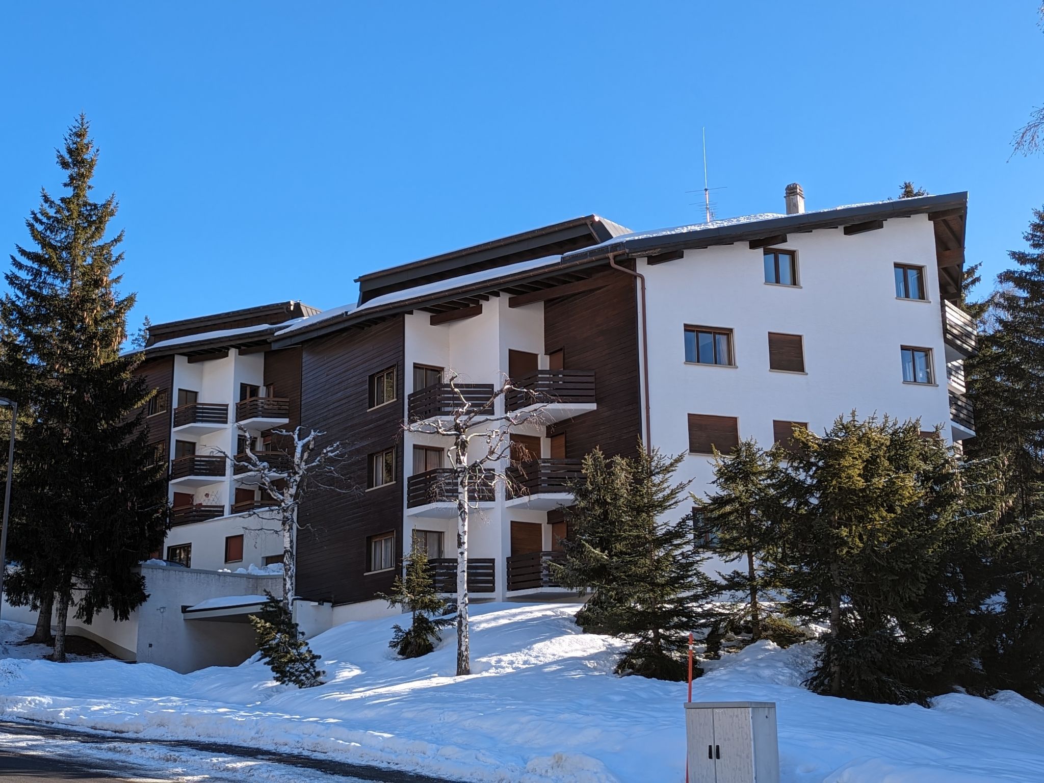 Photo of Violettes Vacances A303