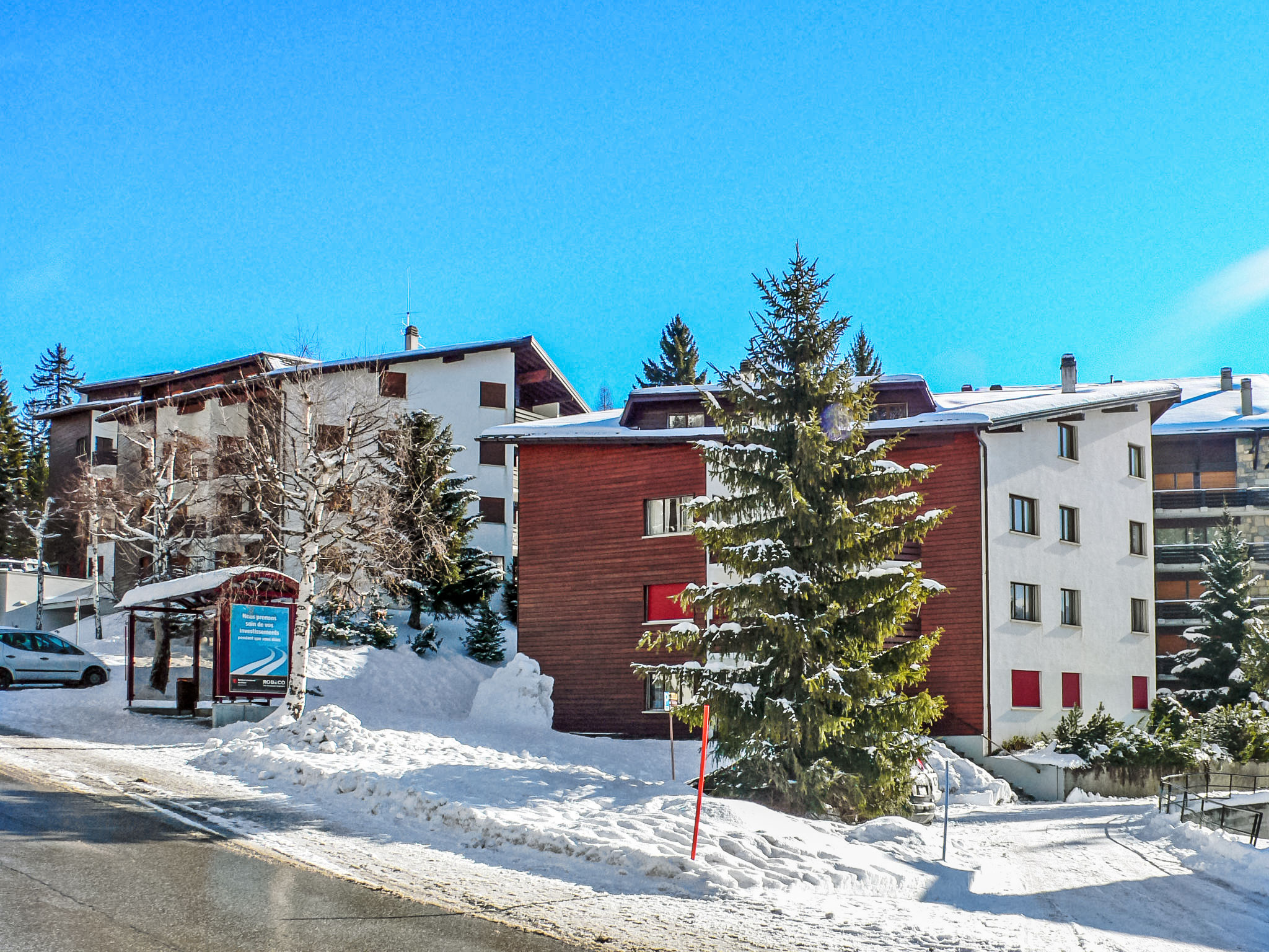 Photo of Violettes Vacances A303