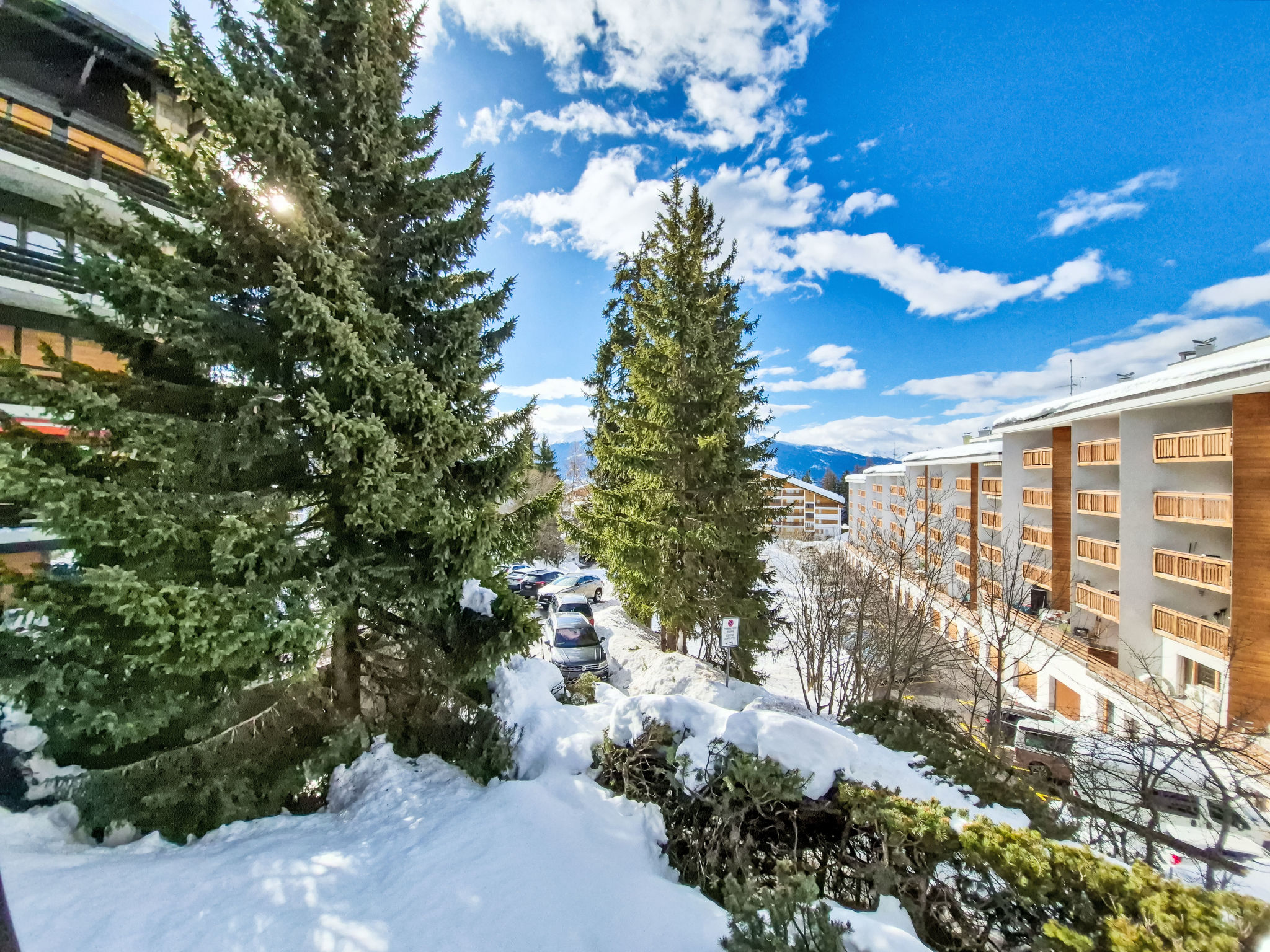 Photo of Violettes Vacances A303